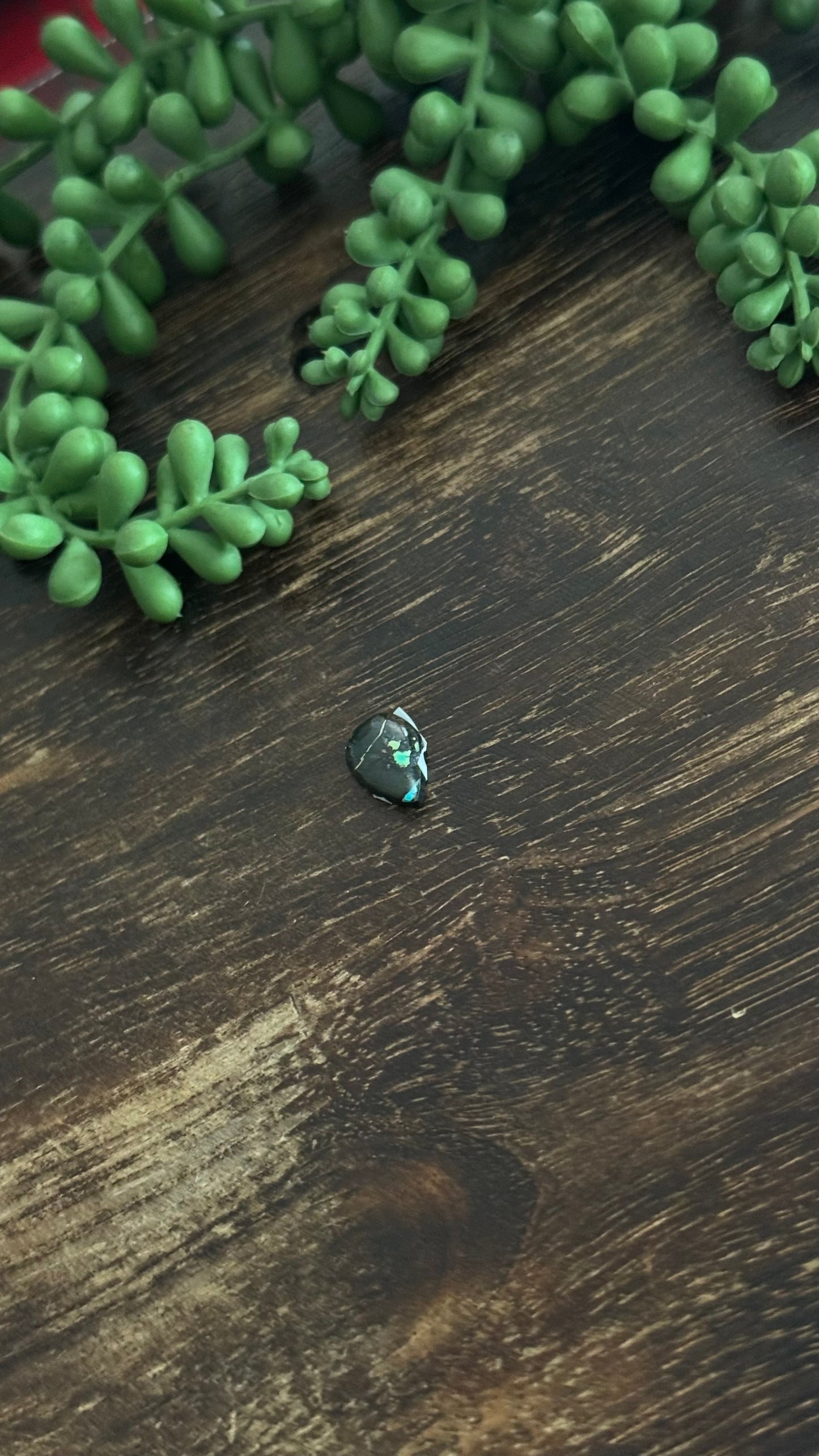 Black Jack Turquoise Cab