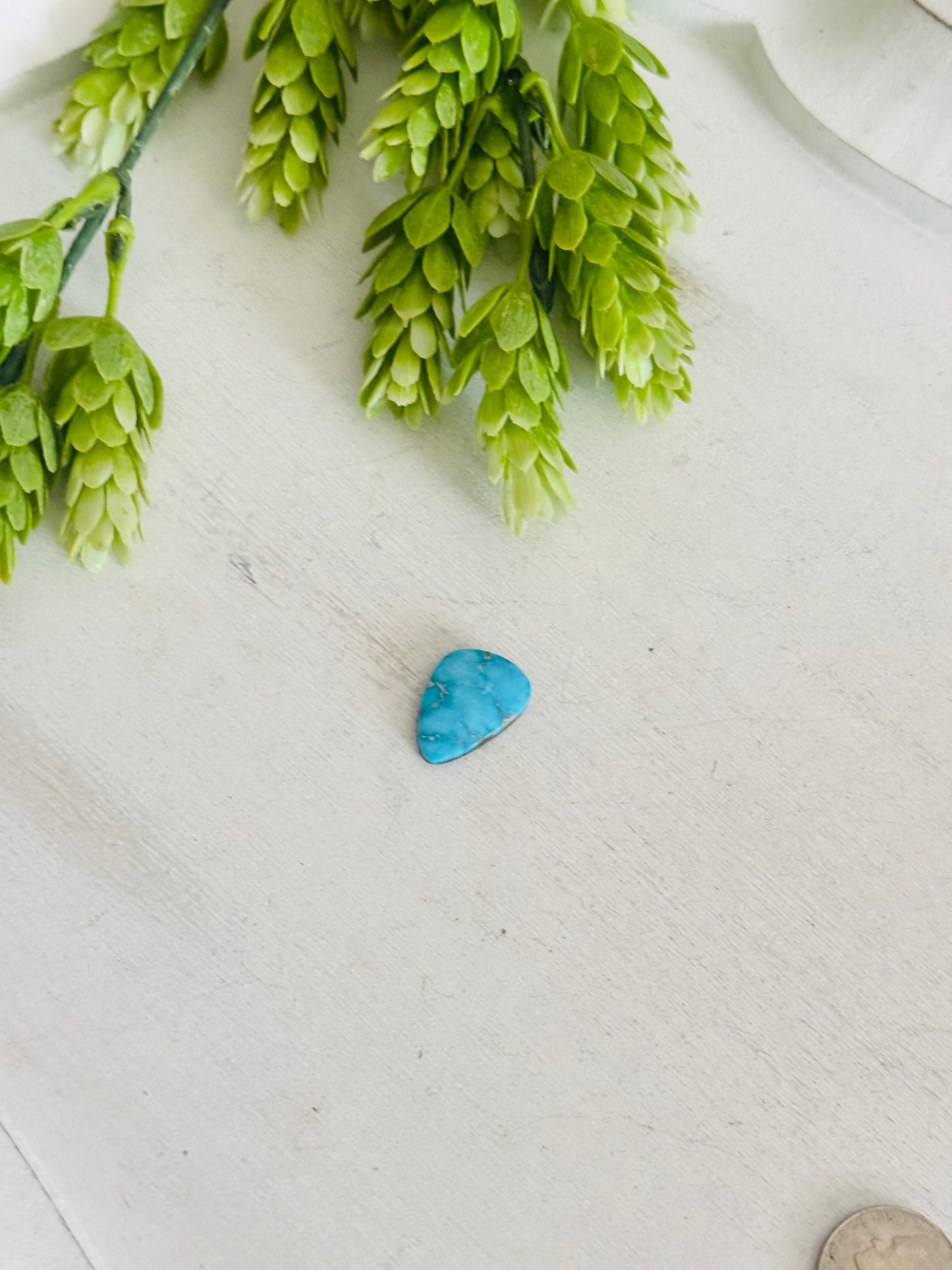 Blue Bird Turquoise Cab