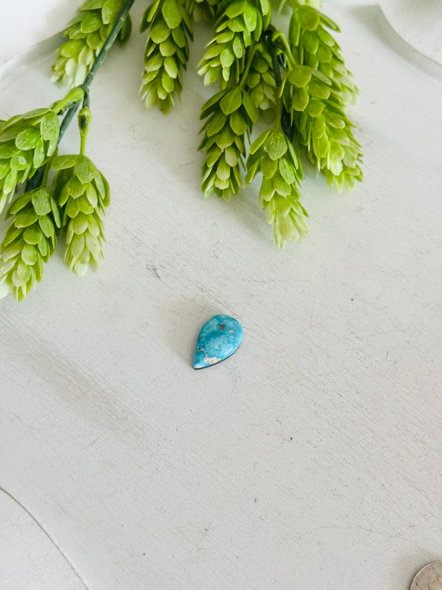 Blue Bird Turquoise Cab