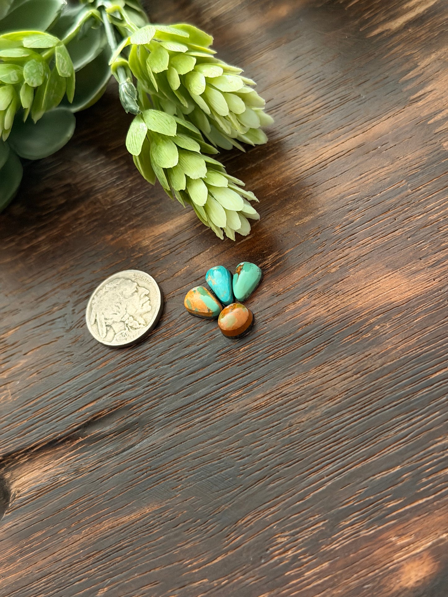 Evans Turquoise Cabs