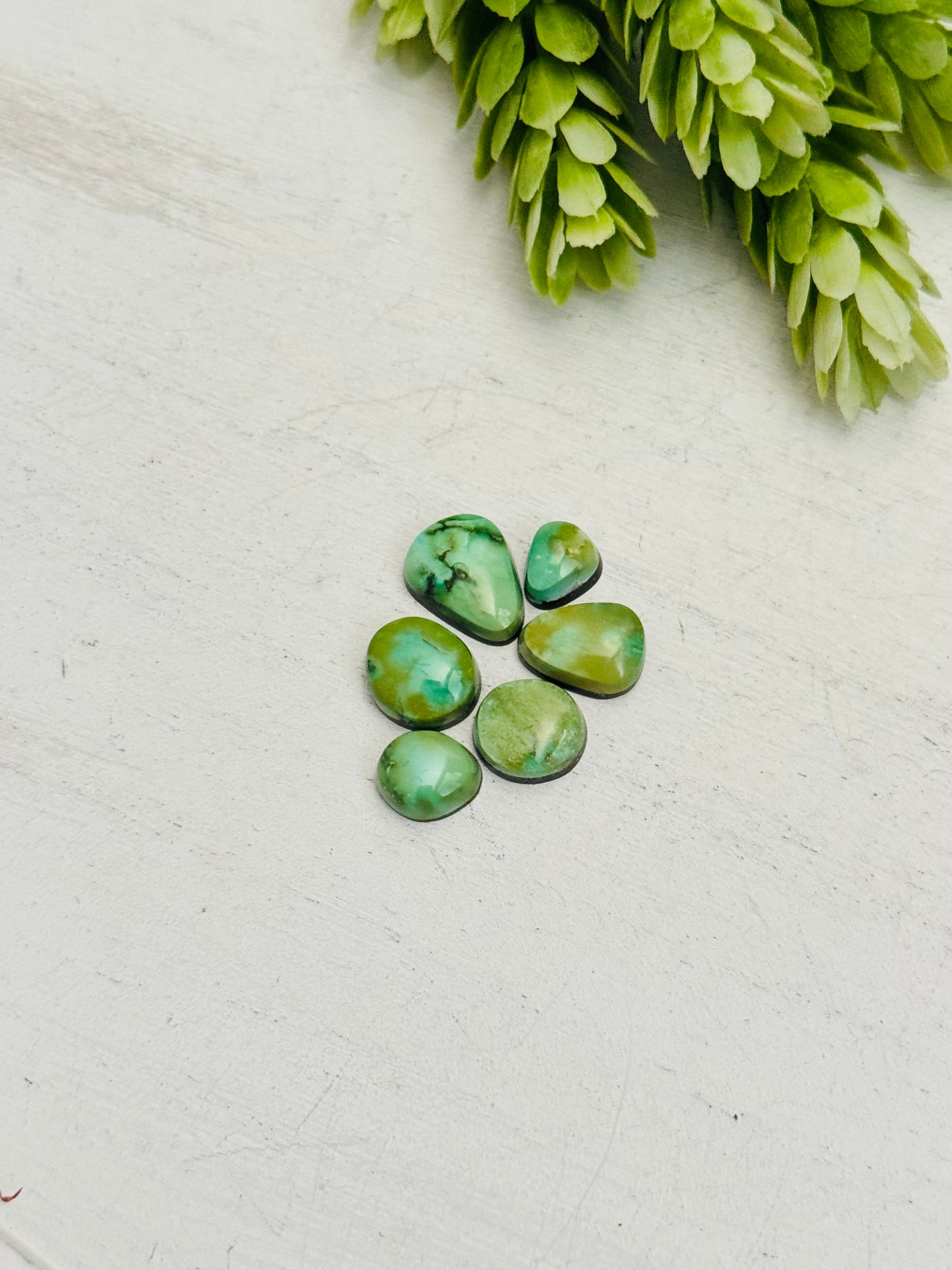 Natural Sonoran Gold Turquoise Cabs