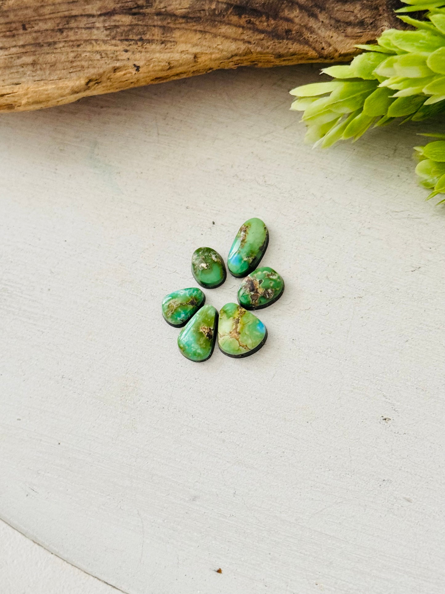 Natural Sonoran Gold Turquoise Cabs