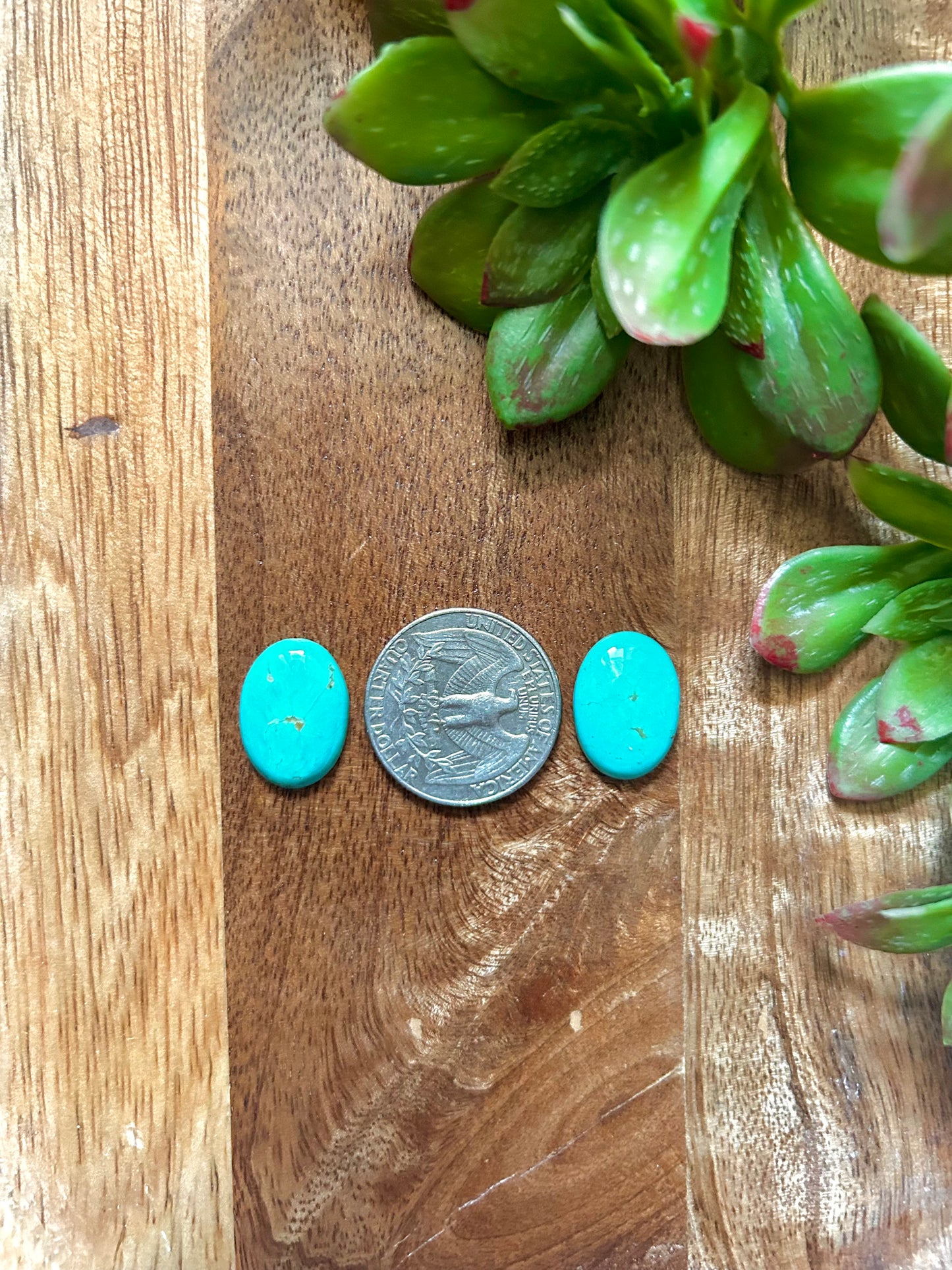 Kingman Turquoise Cabs