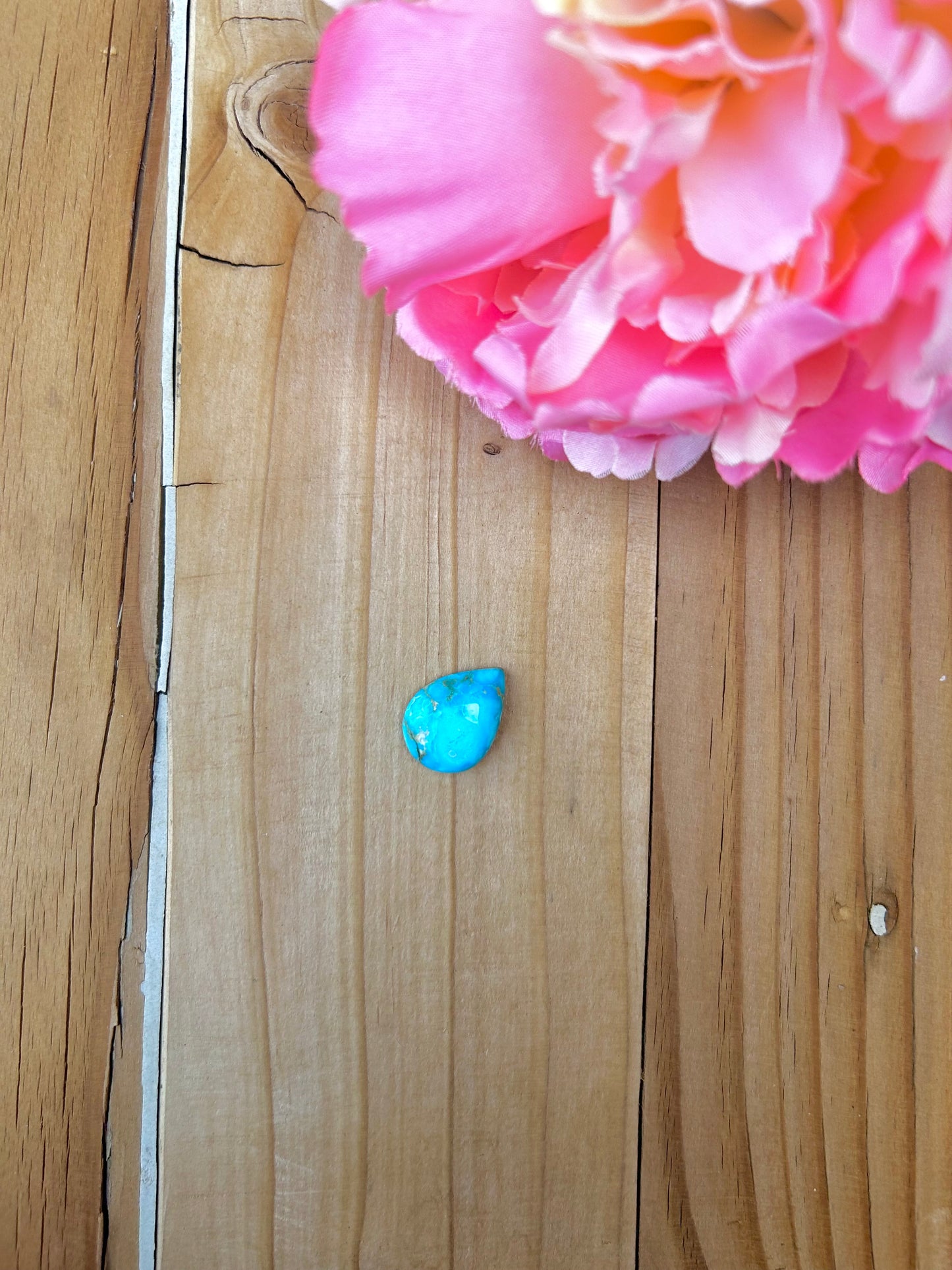 Blue Bird Turquoise Cabs