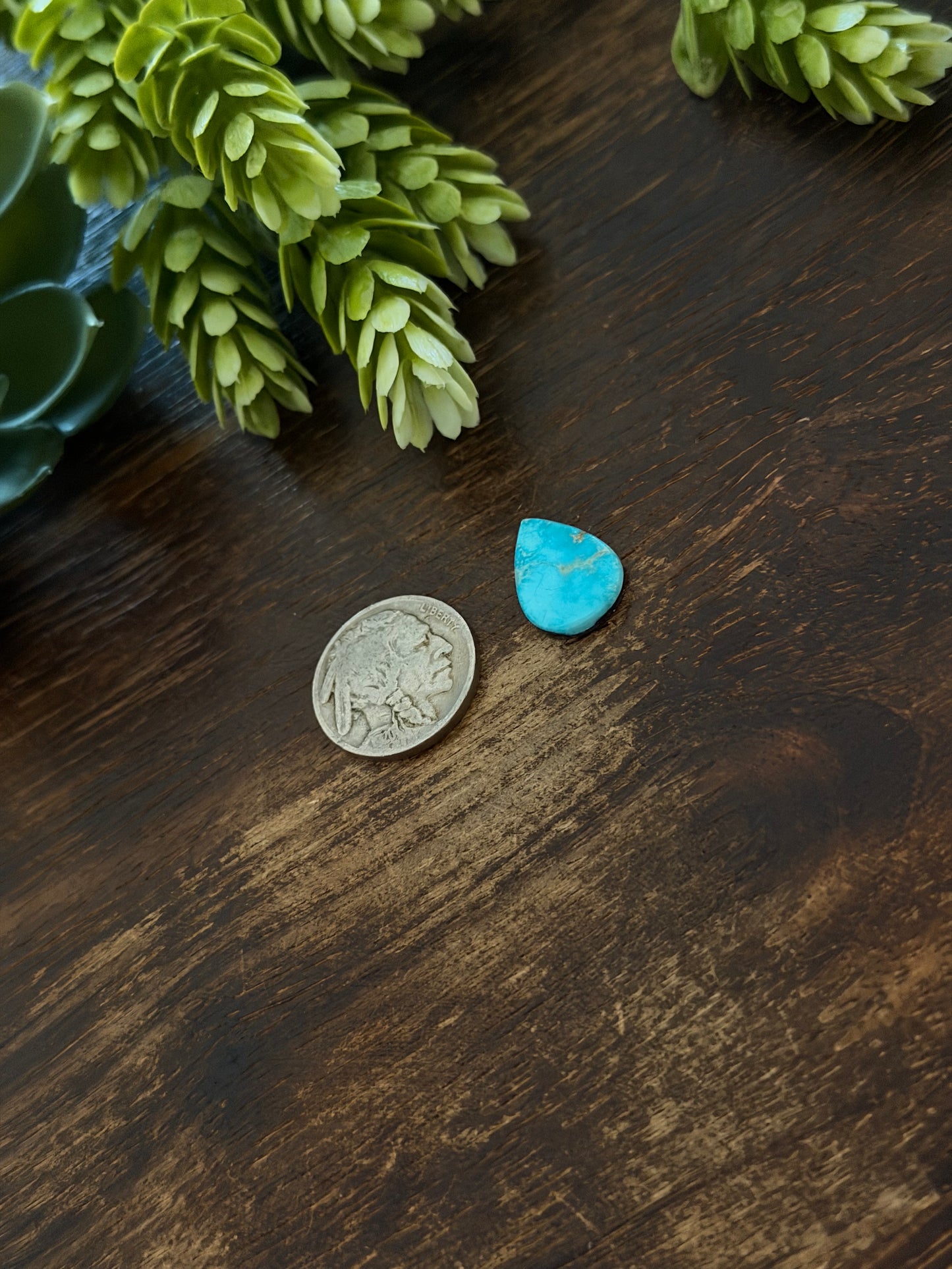 Blue Bird Turquoise Cab