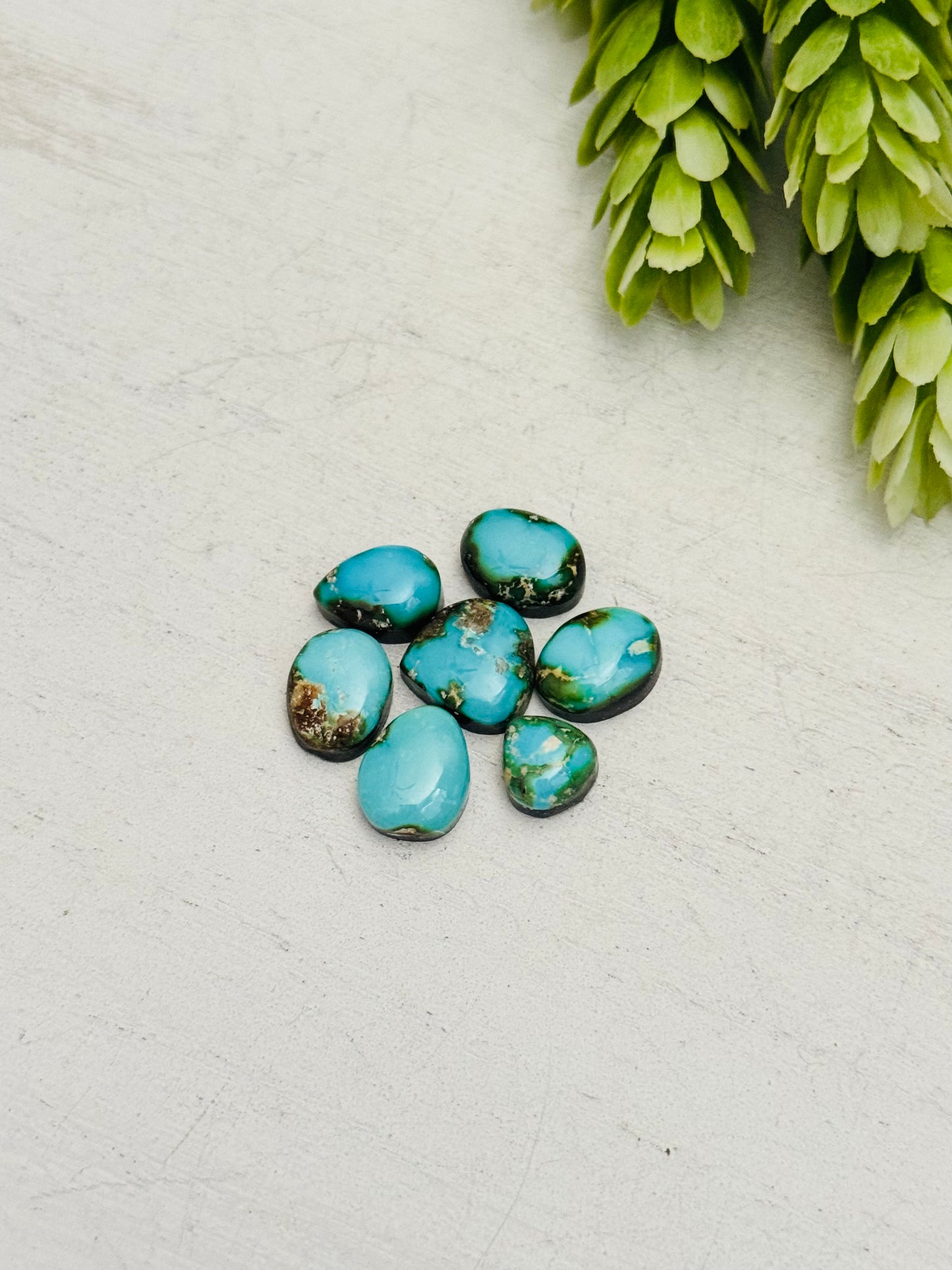 Sonoran Mountain Turquoise Backed Cabs
