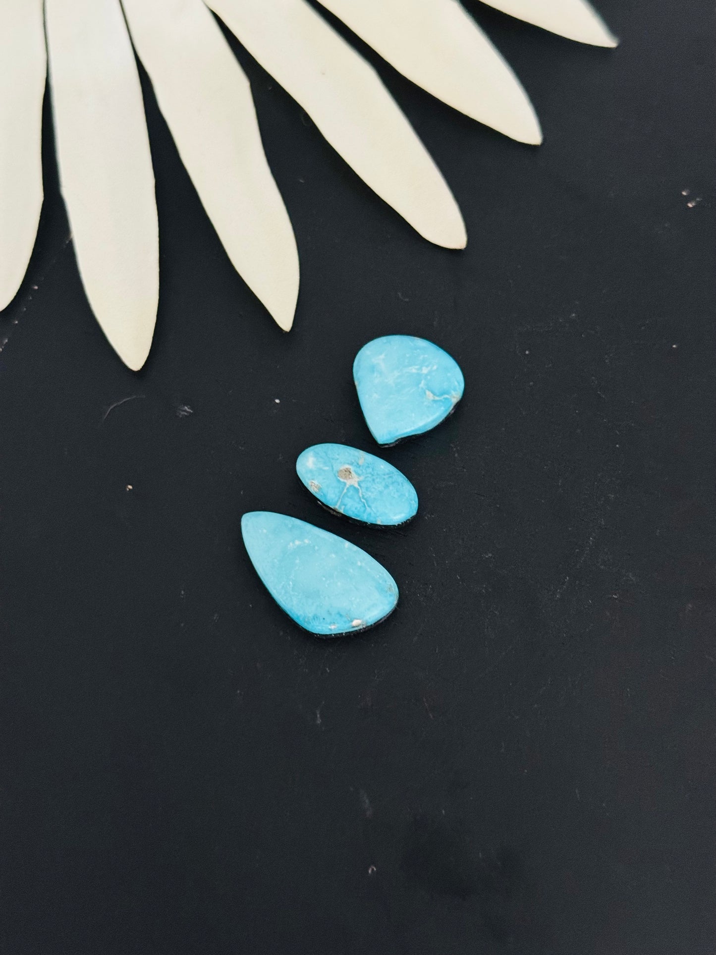 Blue Bird Turquoise Cabs