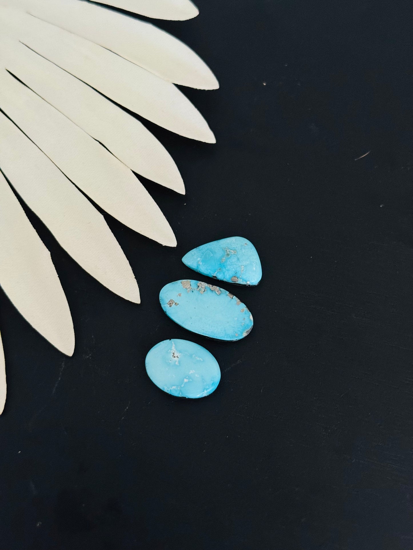 Blue Bird Turquoise Cabs