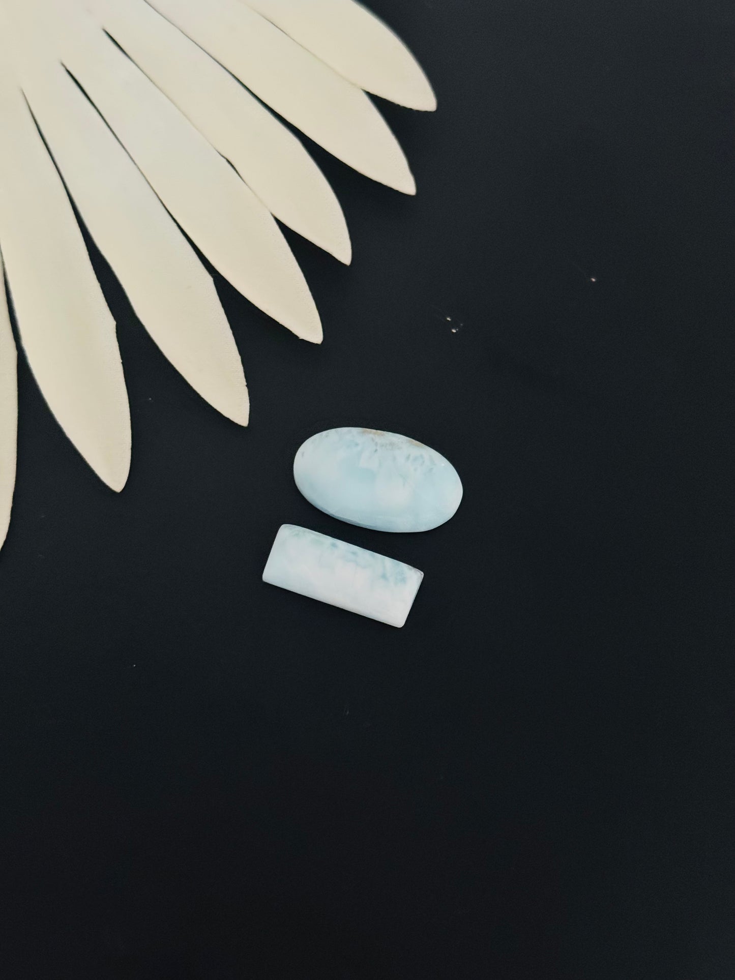 Larimar Cabs