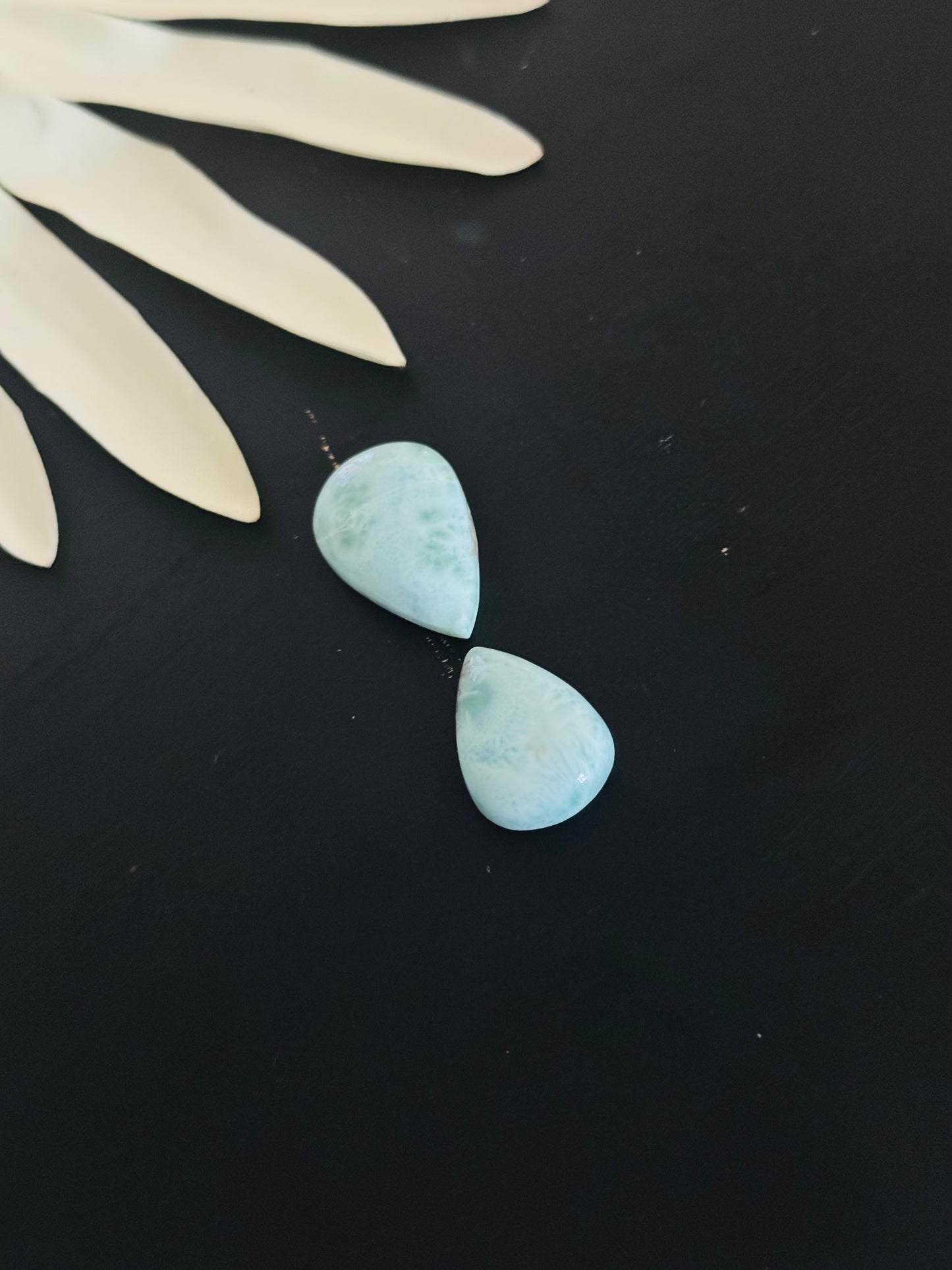 Larimar Cabs