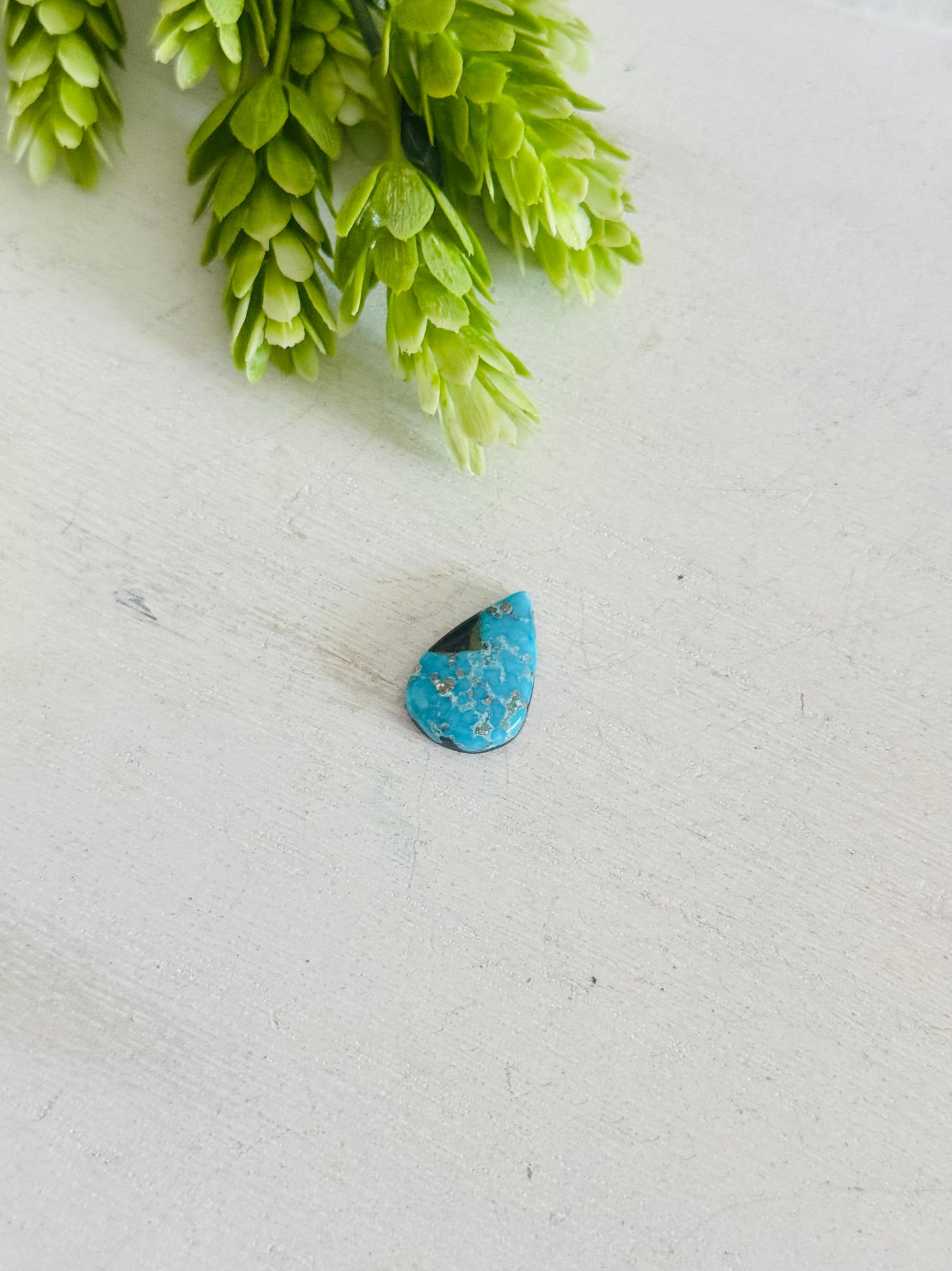 Blue Bird Turquoise Cab