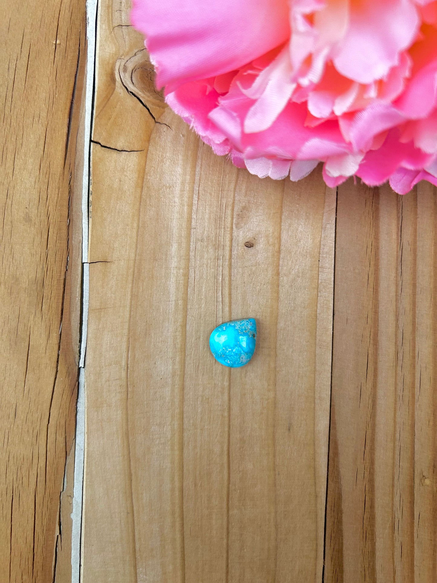 Blue Bird Turquoise Cabs