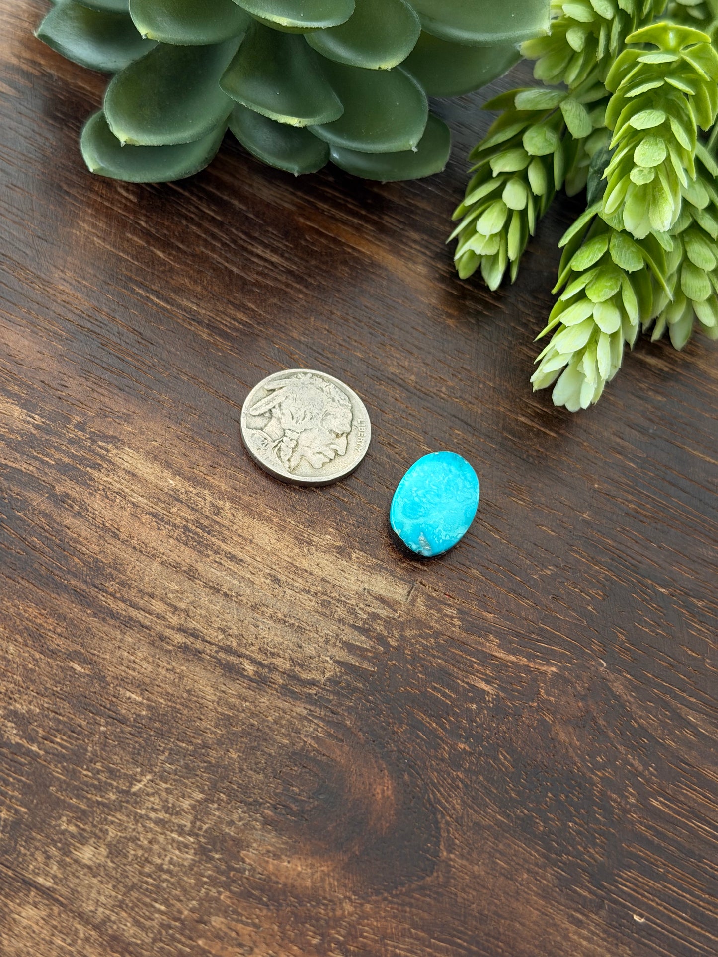 Blue Bird Turquoise Cab