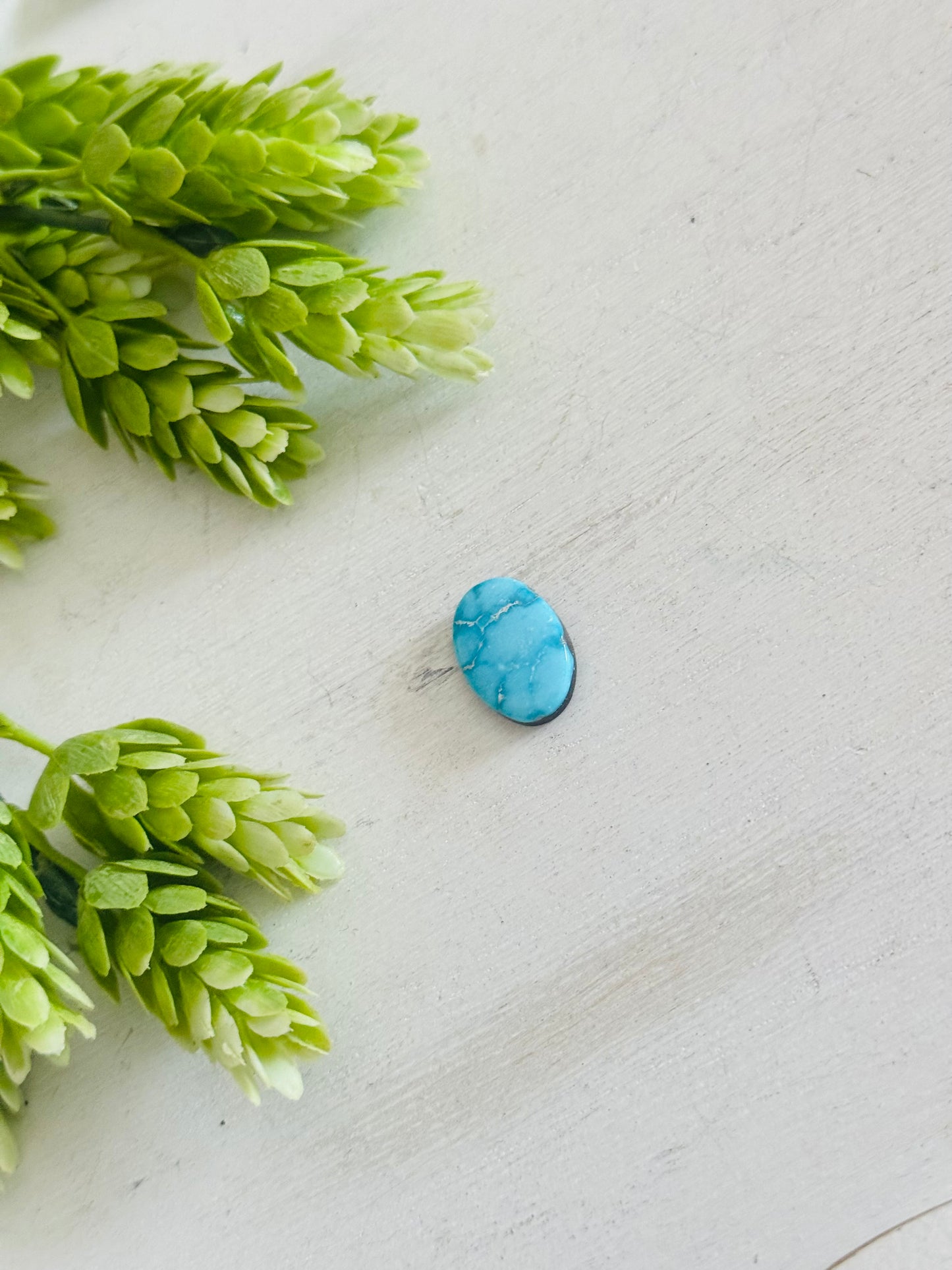 Blue Bird Turquoise Cab