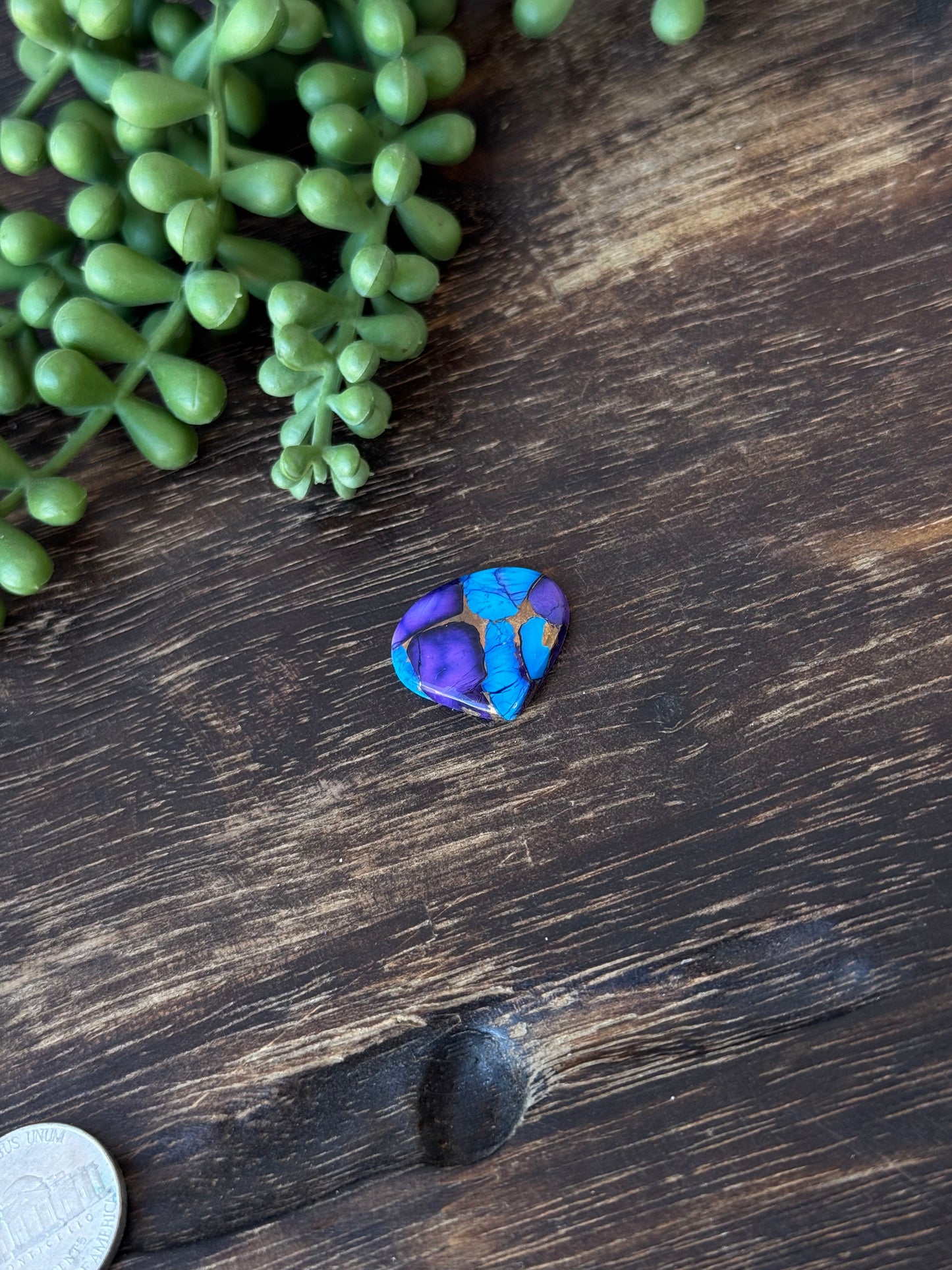 Purple Dahlia Composite Cabs