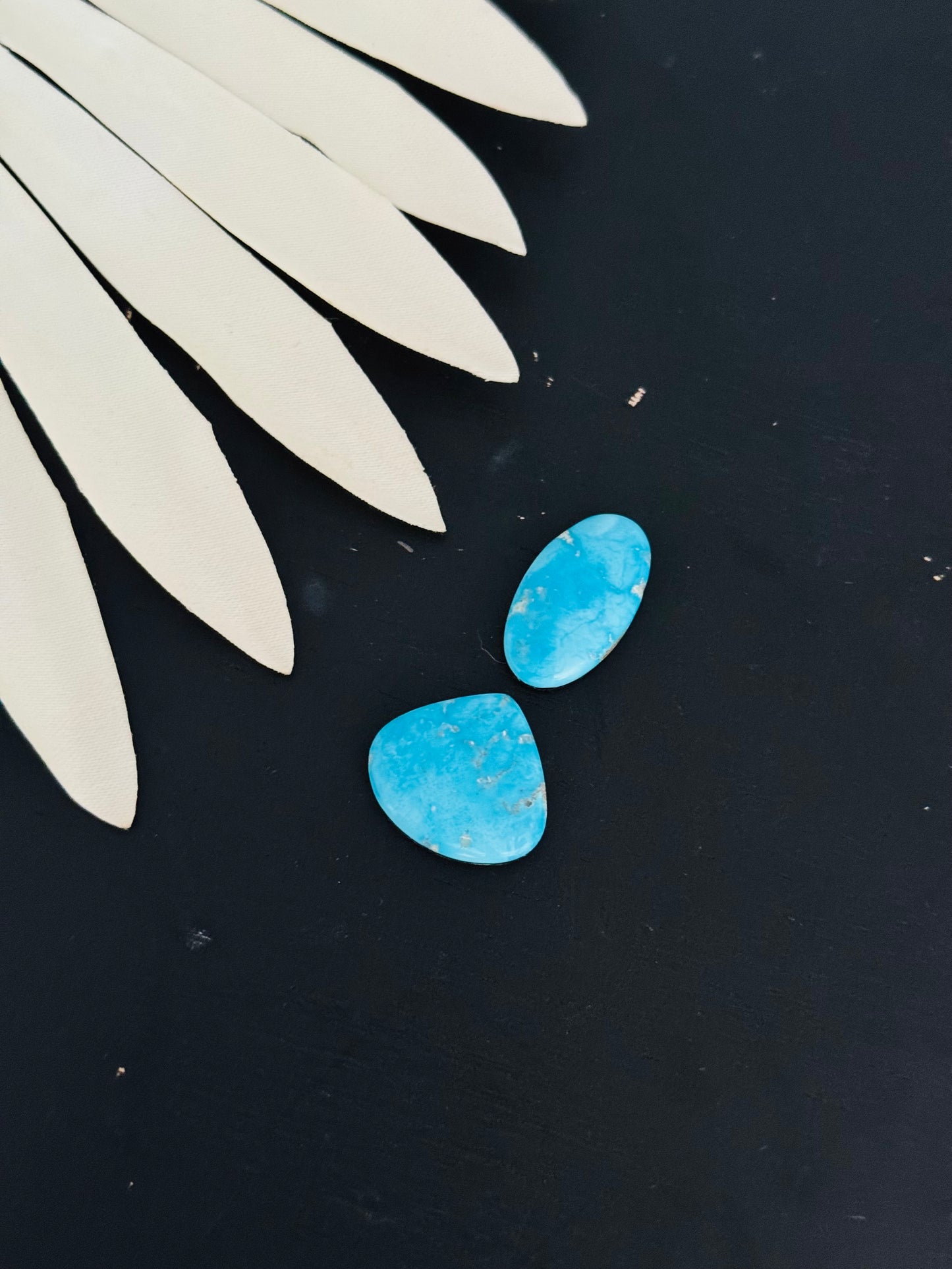 Blue Bird Turquoise Cabs