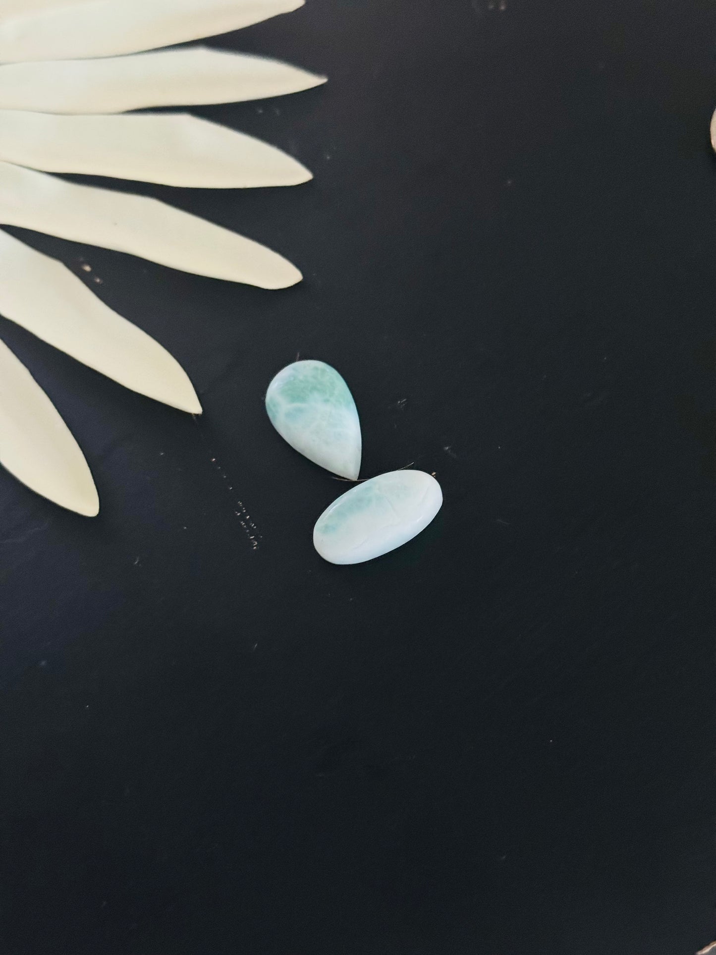 Larimar Cabs