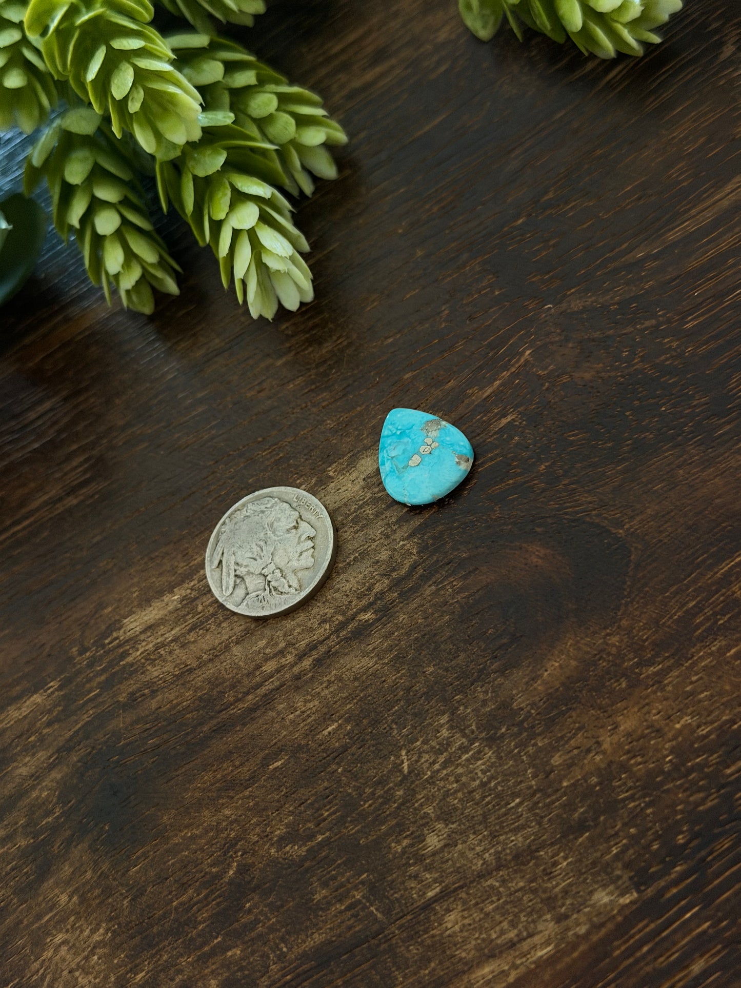 Blue Bird Turquoise Cab