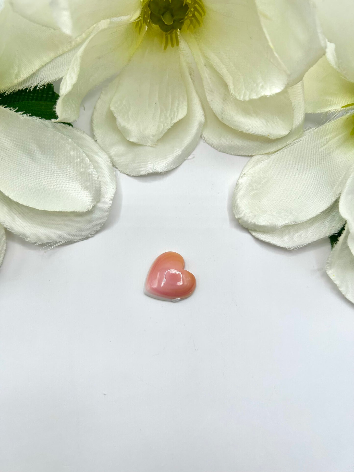 Pink Conch Cab