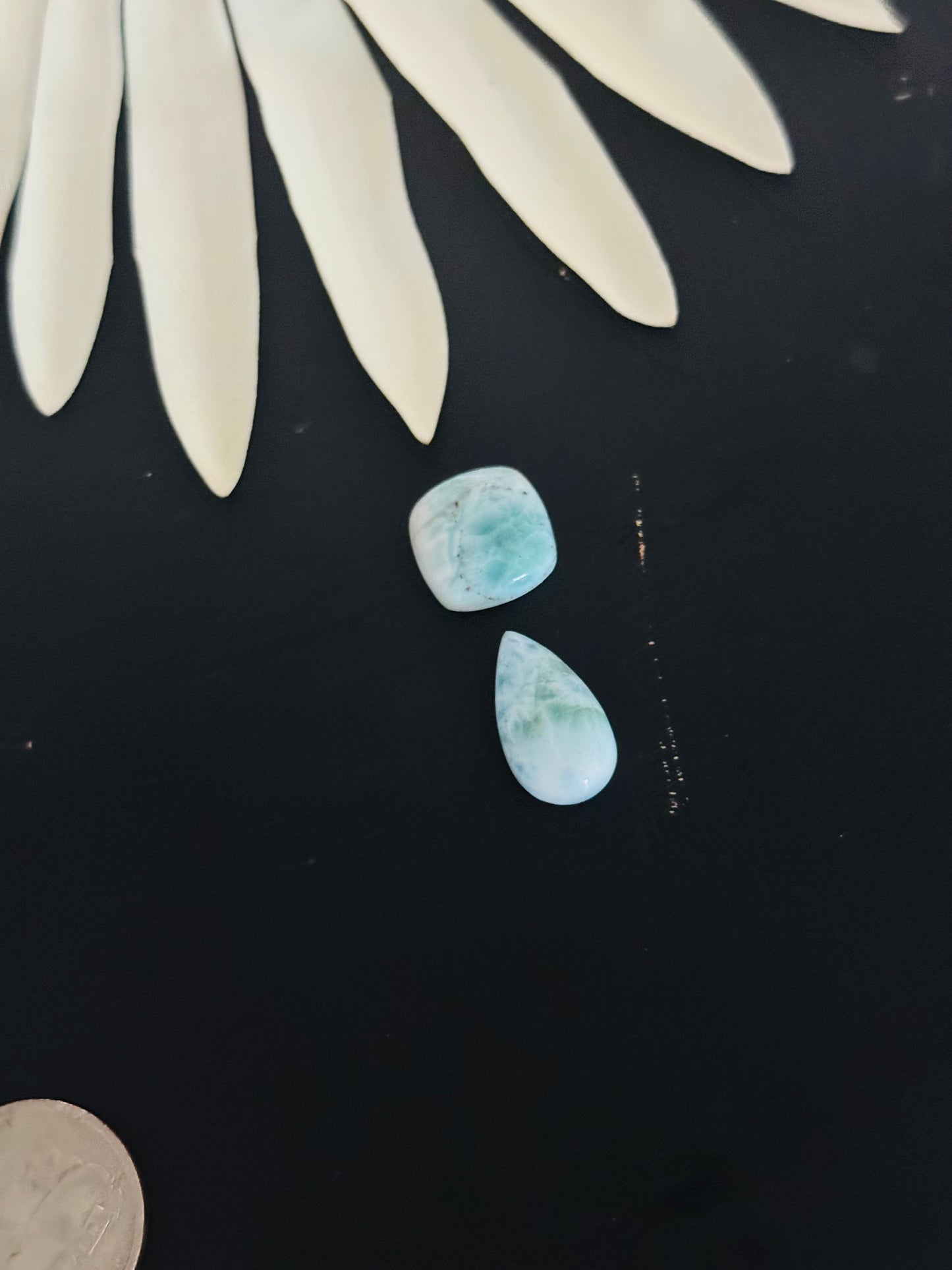 Larimar Cabs