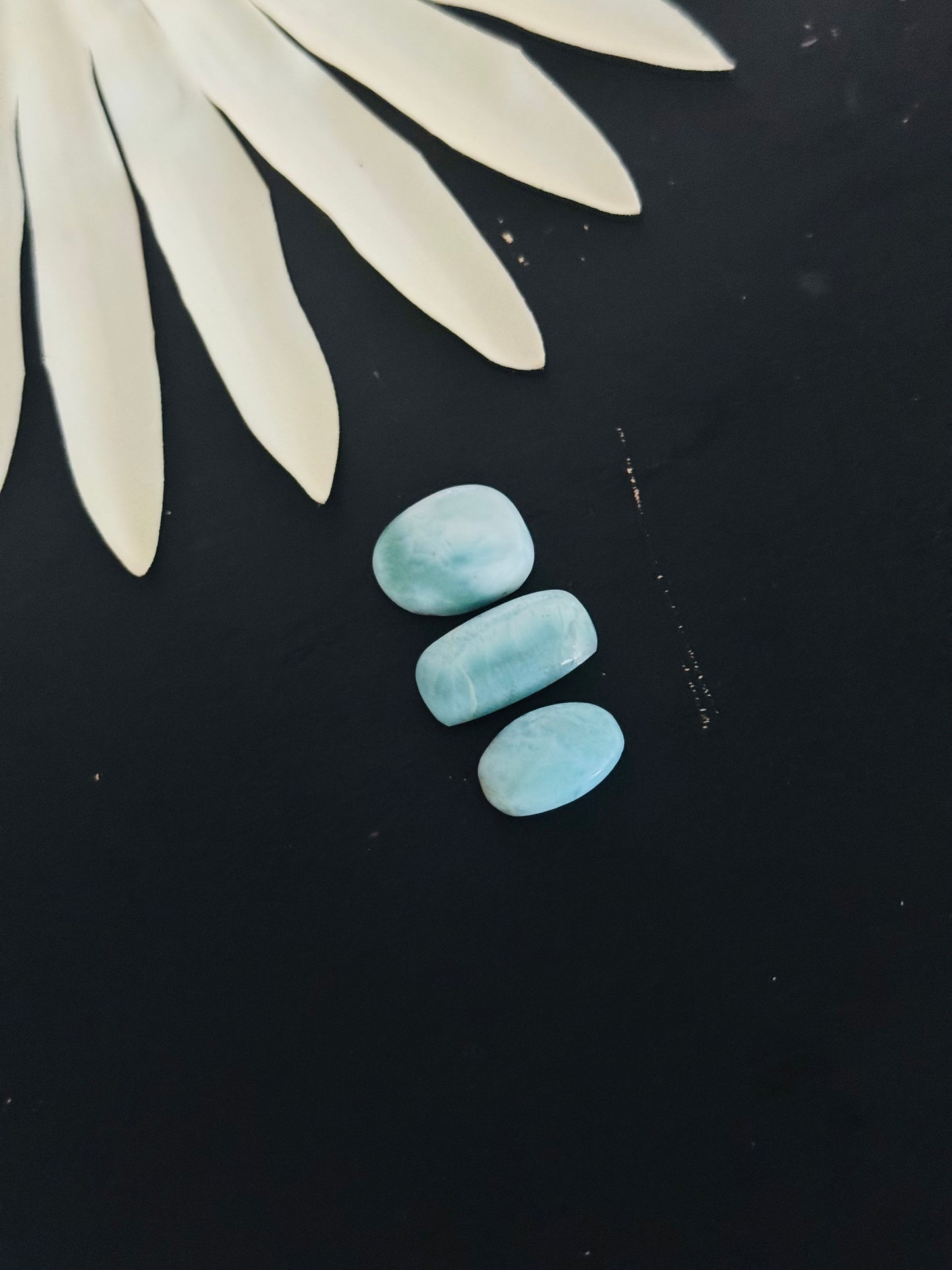 Larimar Cabs