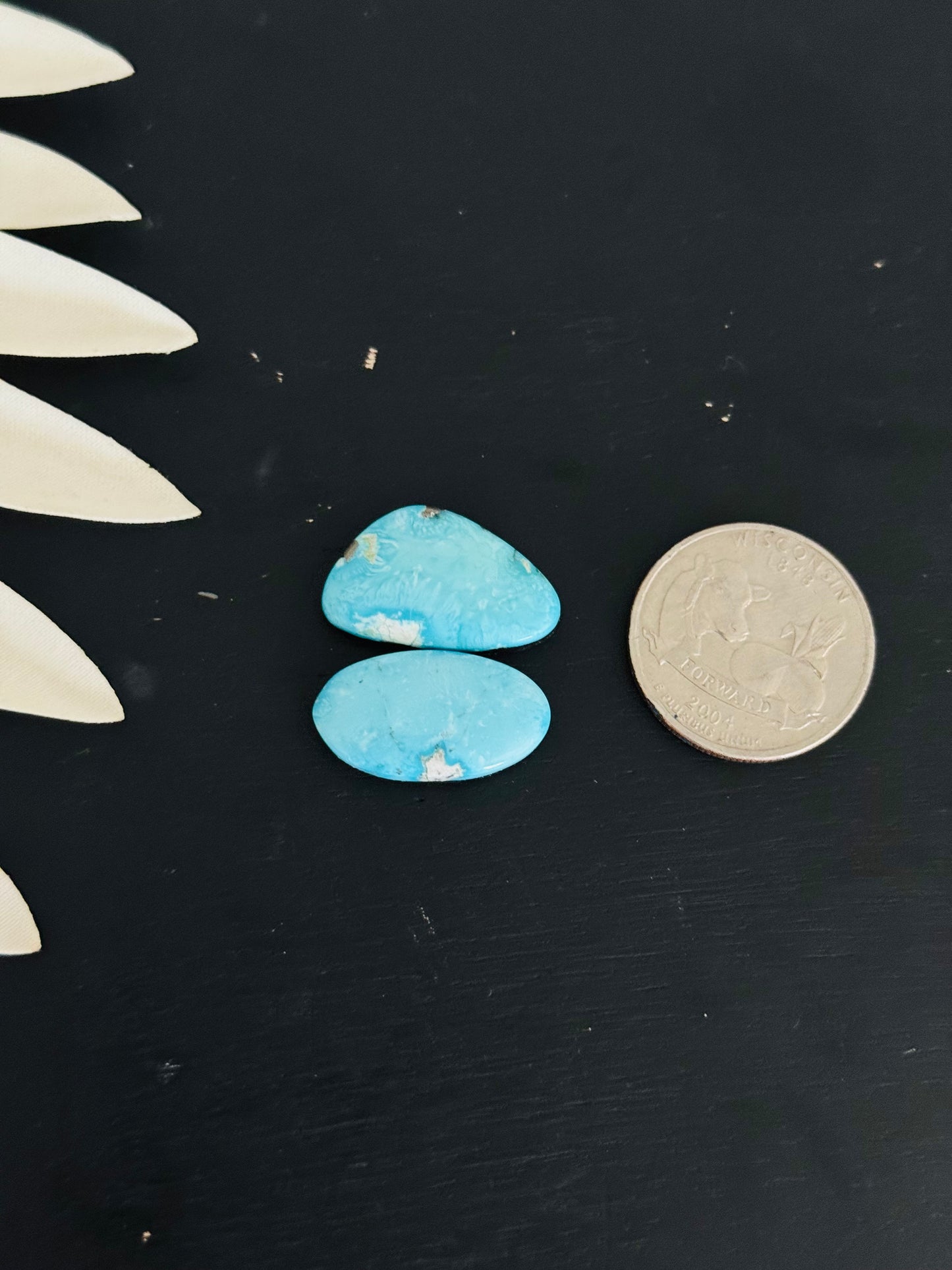 Blue Bird Turquoise Cabs