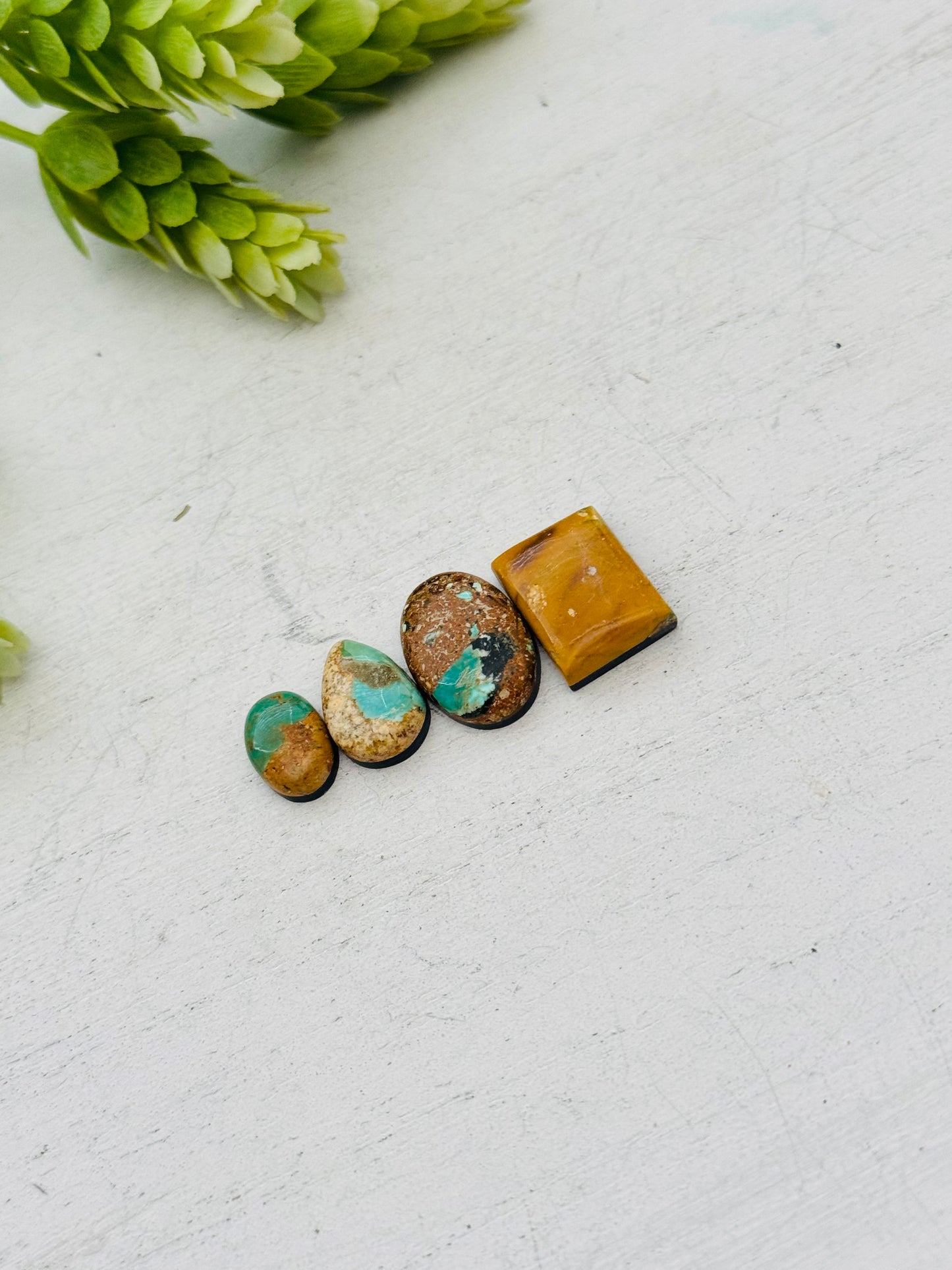 Evans Turquoise Cabs