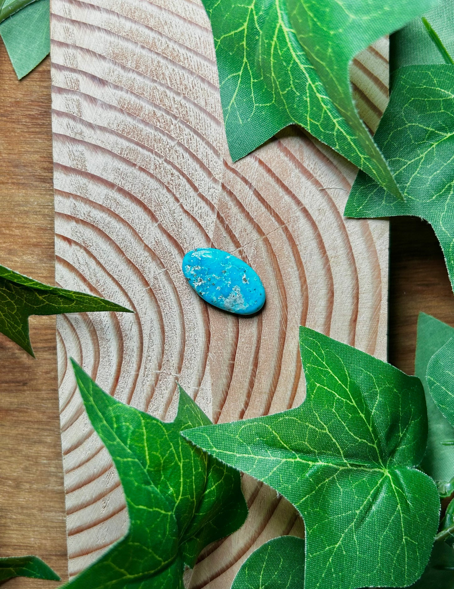 Blue Bird Turquoise Cabs