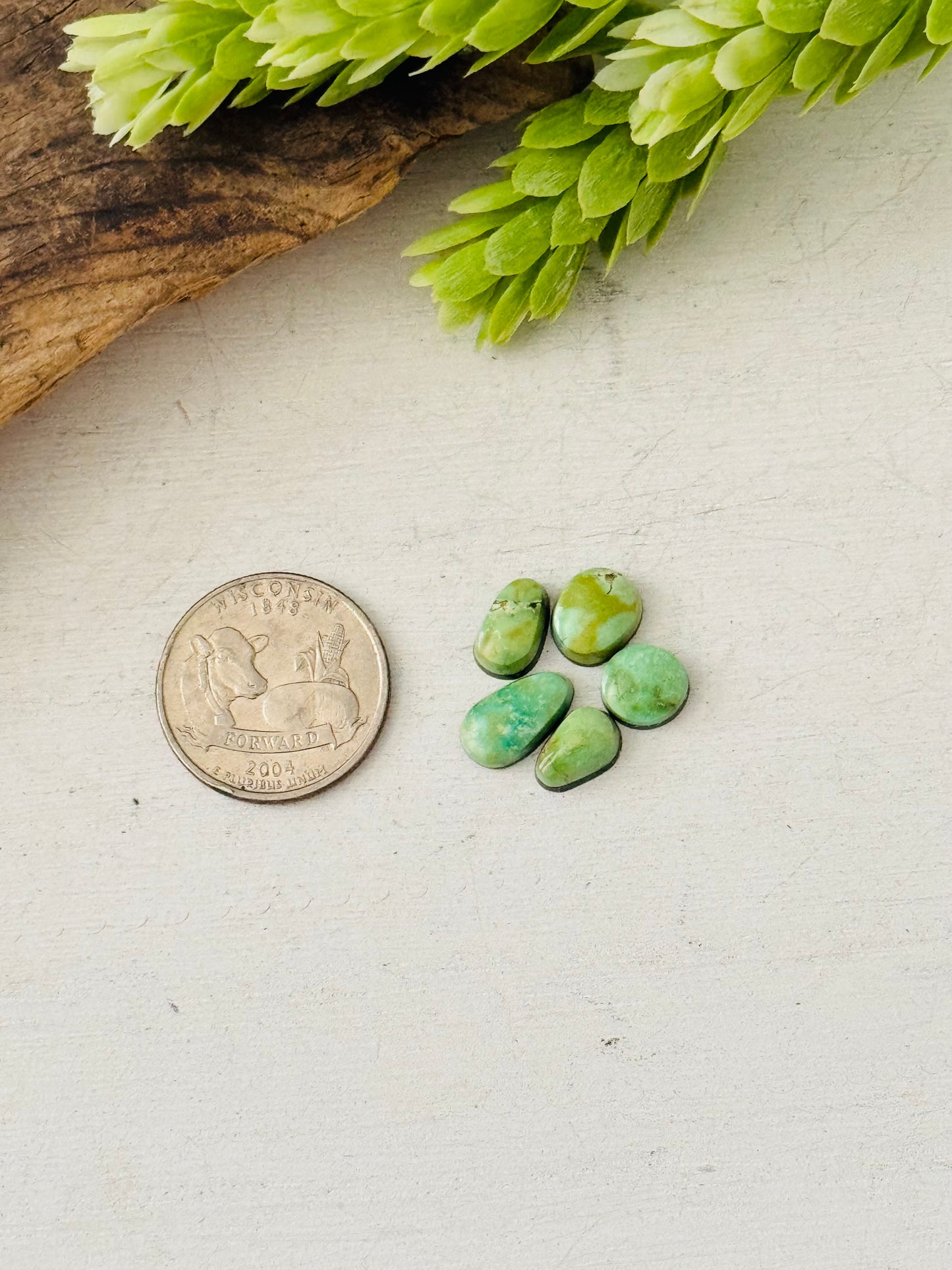 Natural Sonoran Gold Turquoise Cabs