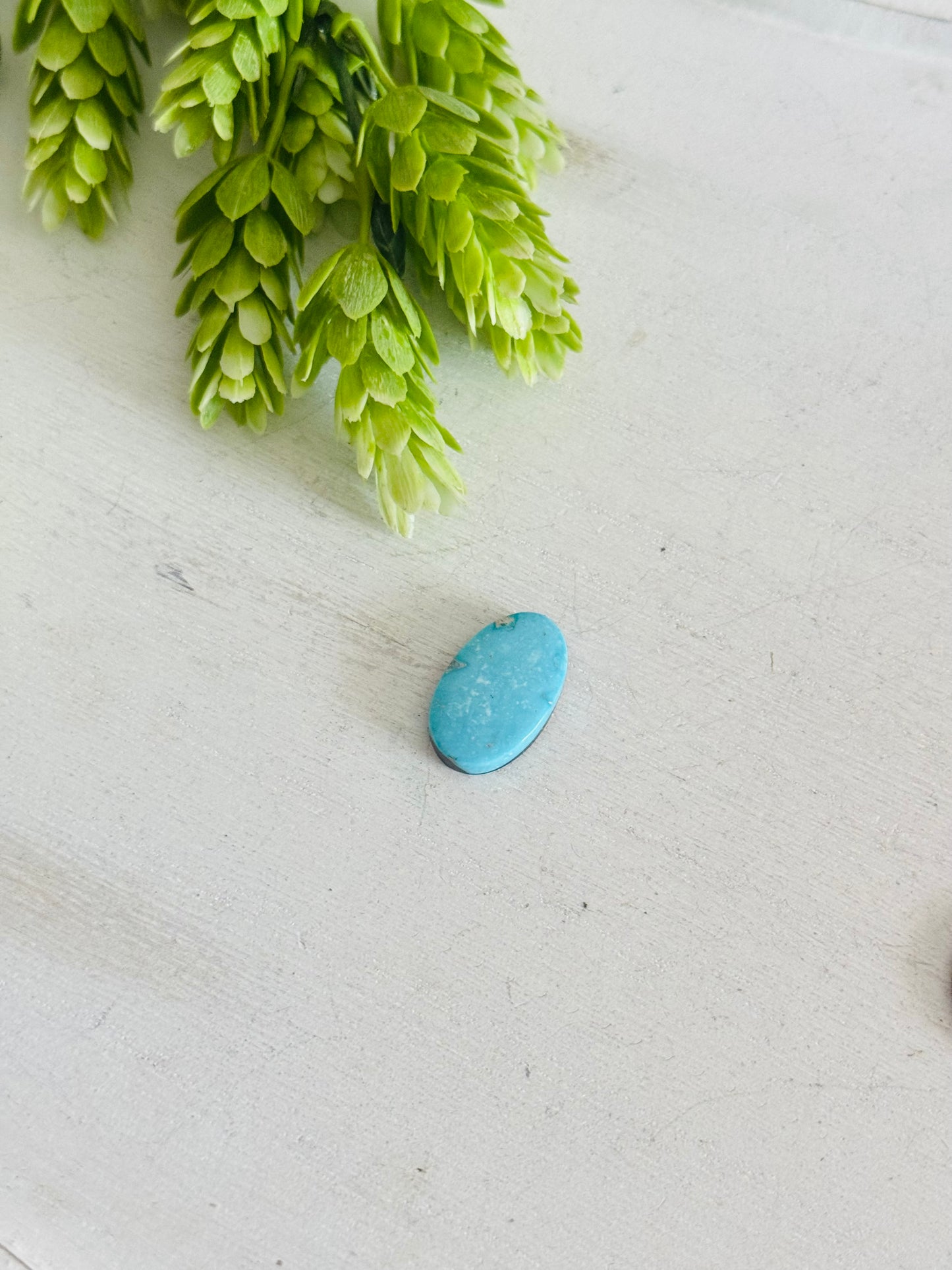 Blue Bird Turquoise Cab