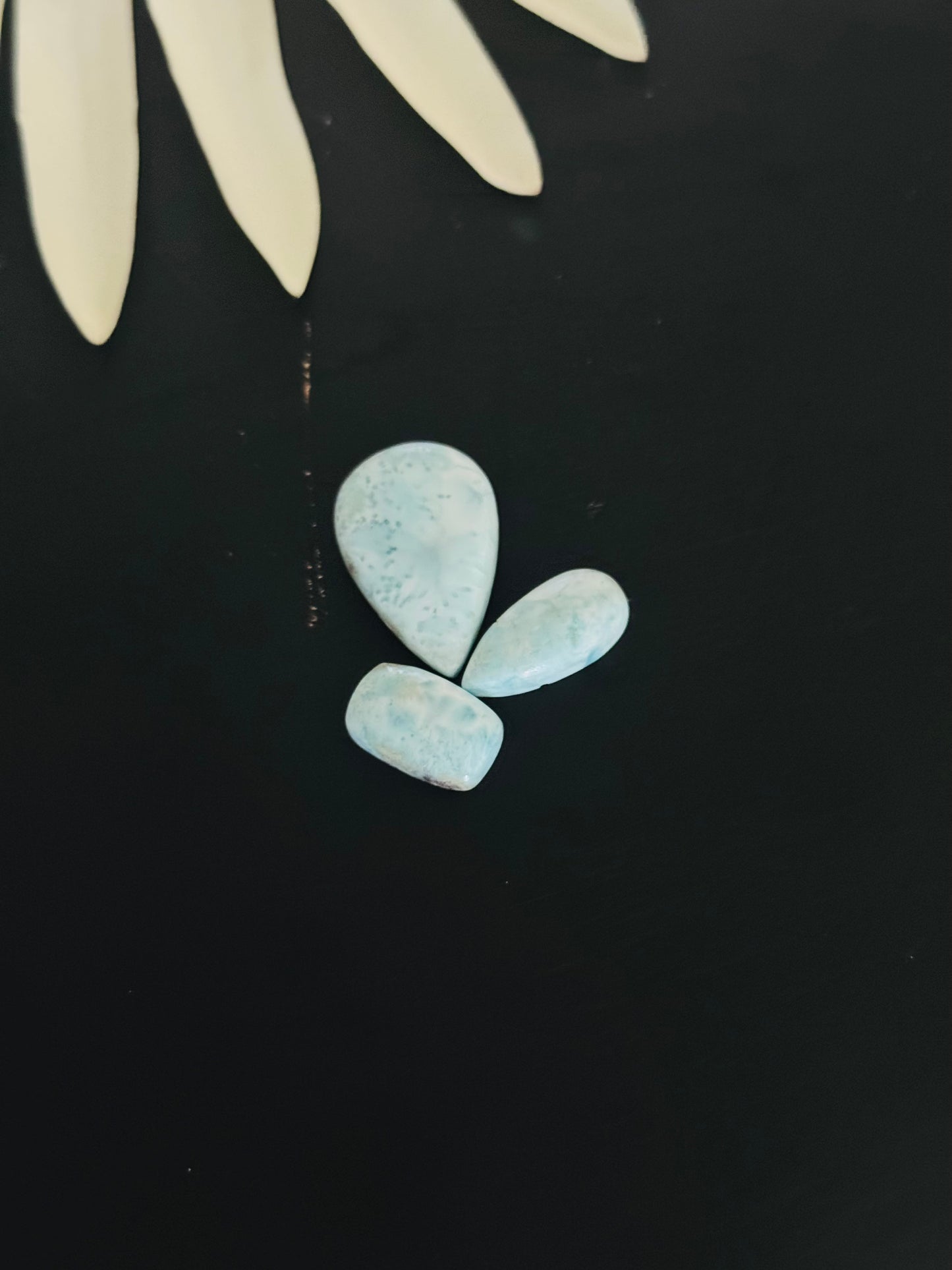 Larimar Cabs
