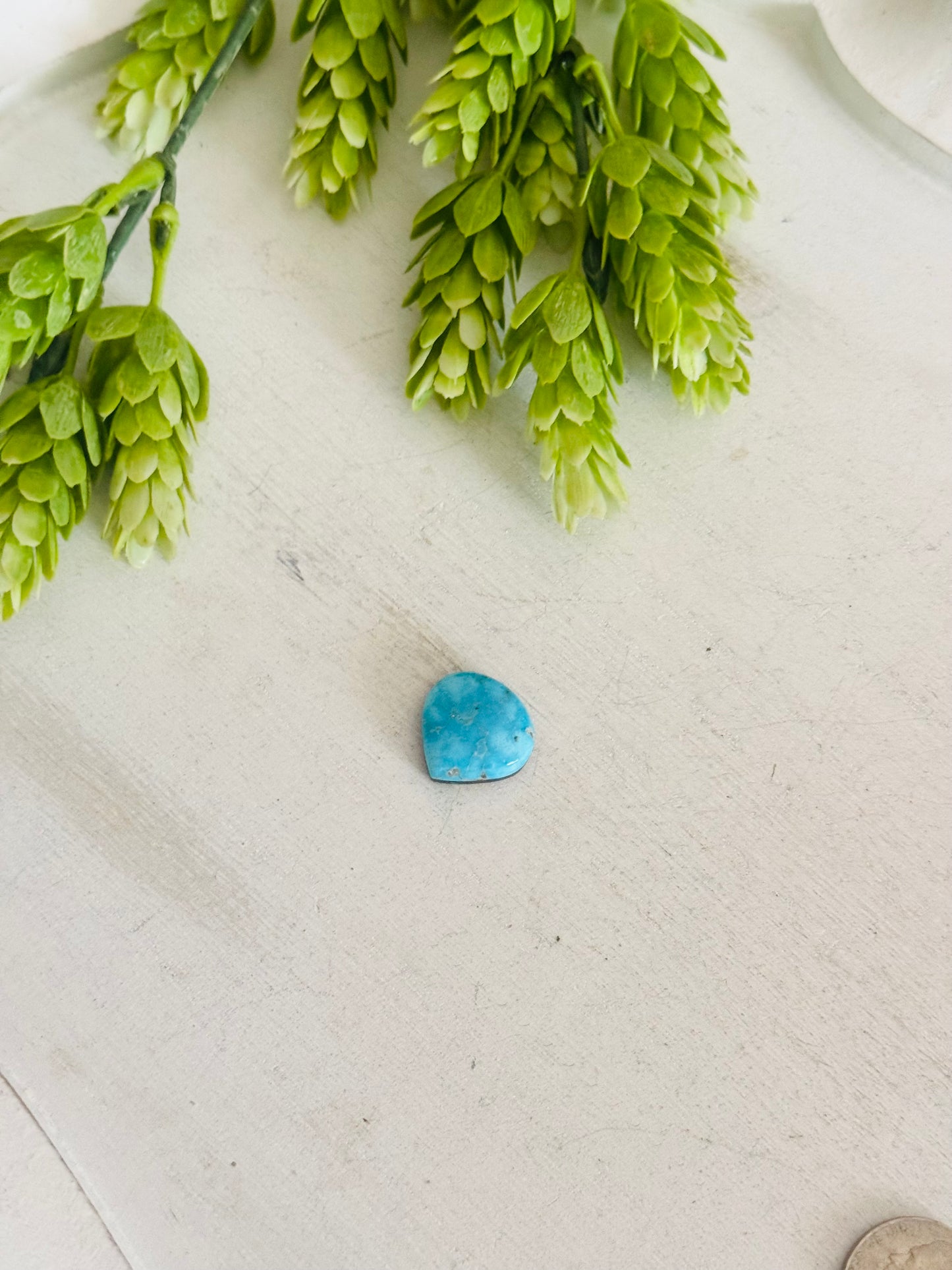 Blue Bird Turquoise Cab