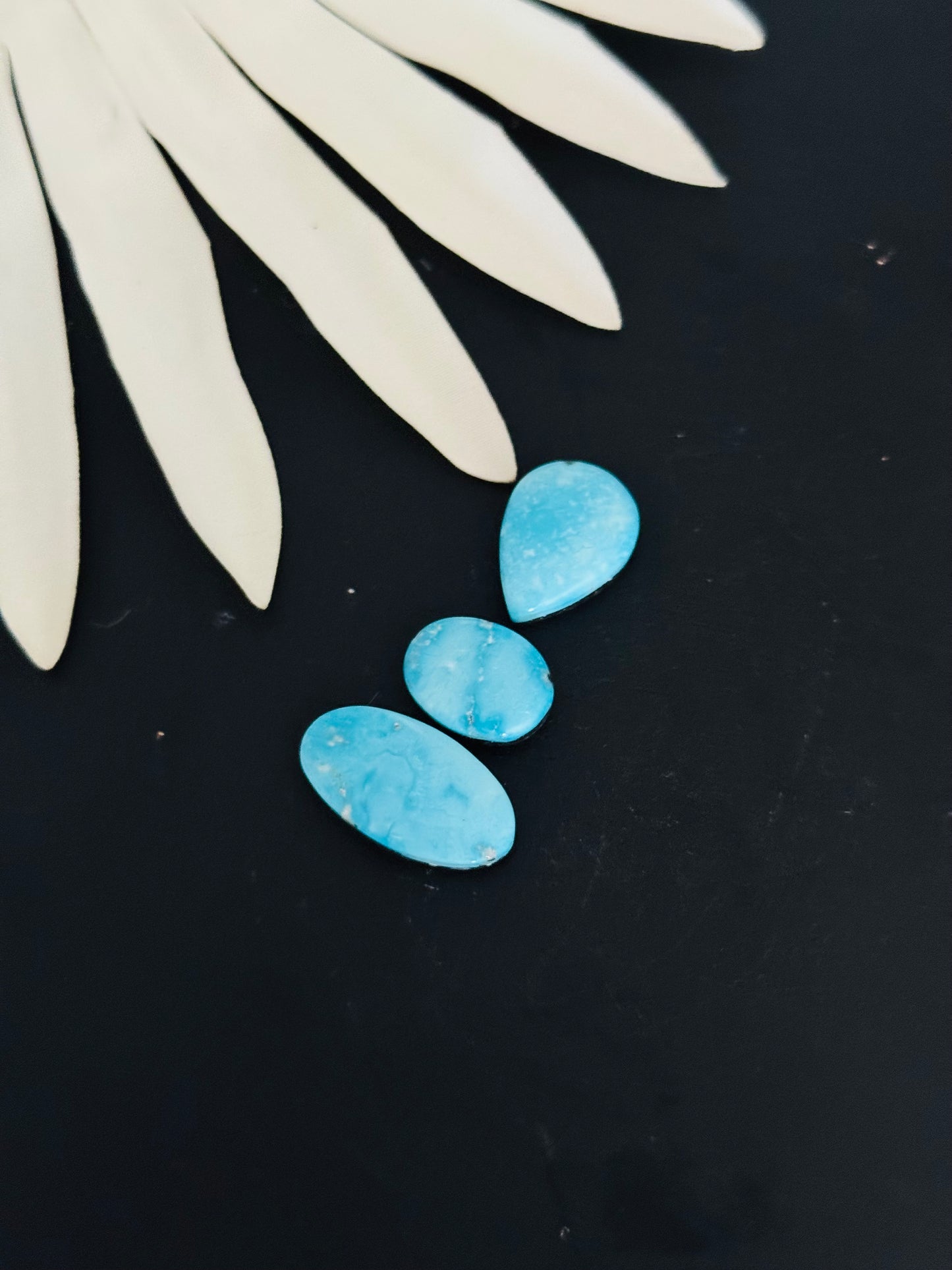 Blue Bird Turquoise Cabs