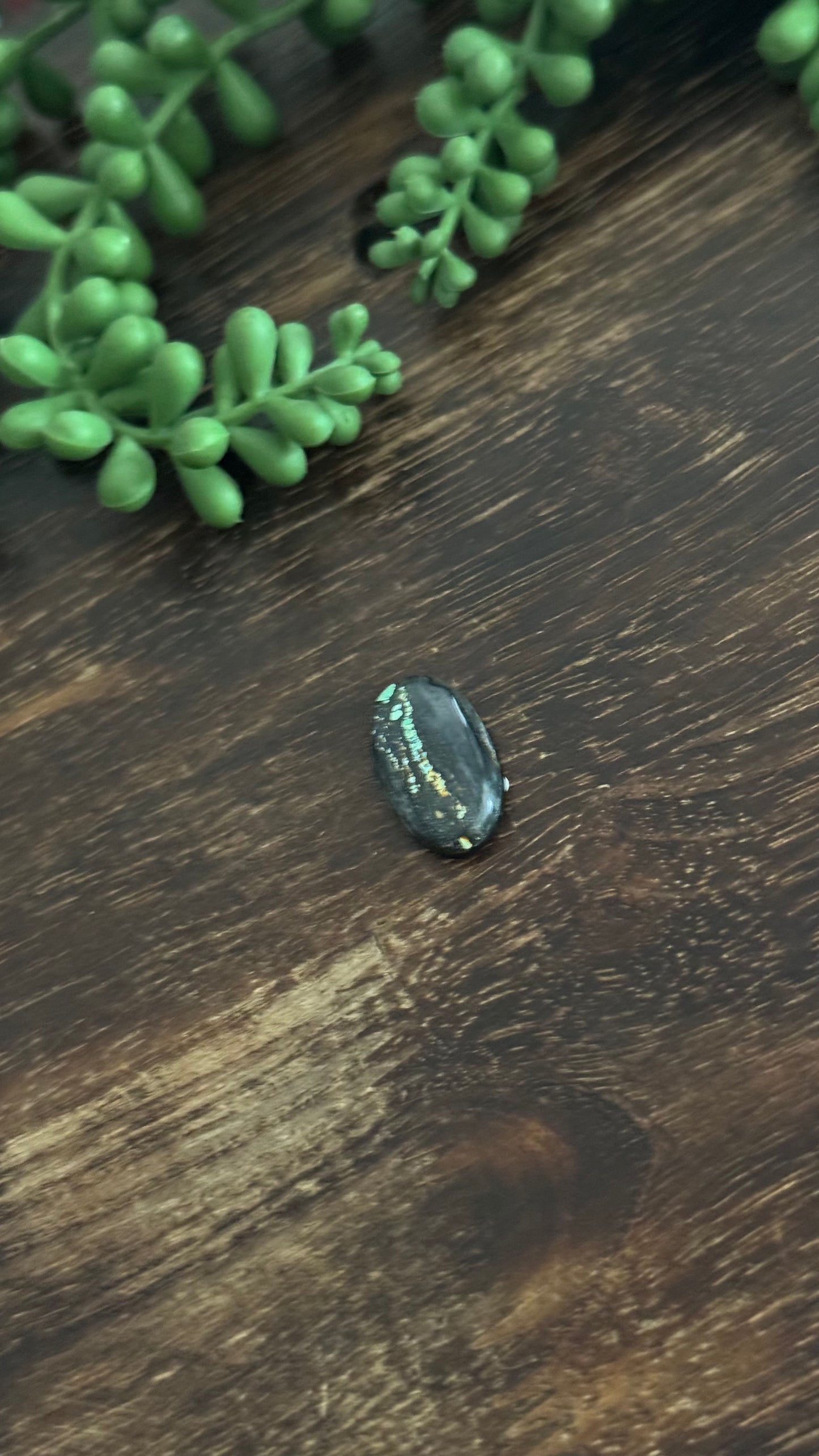 Black Jack Turquoise Cab