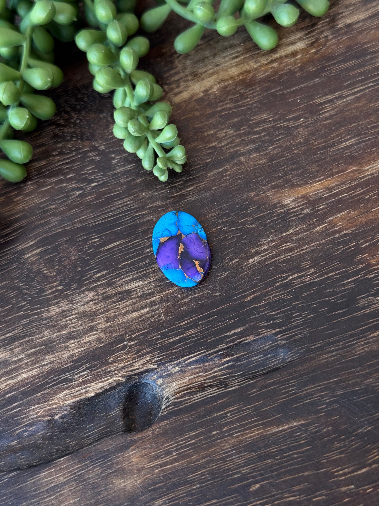 Purple Dahlia Composite Cabs
