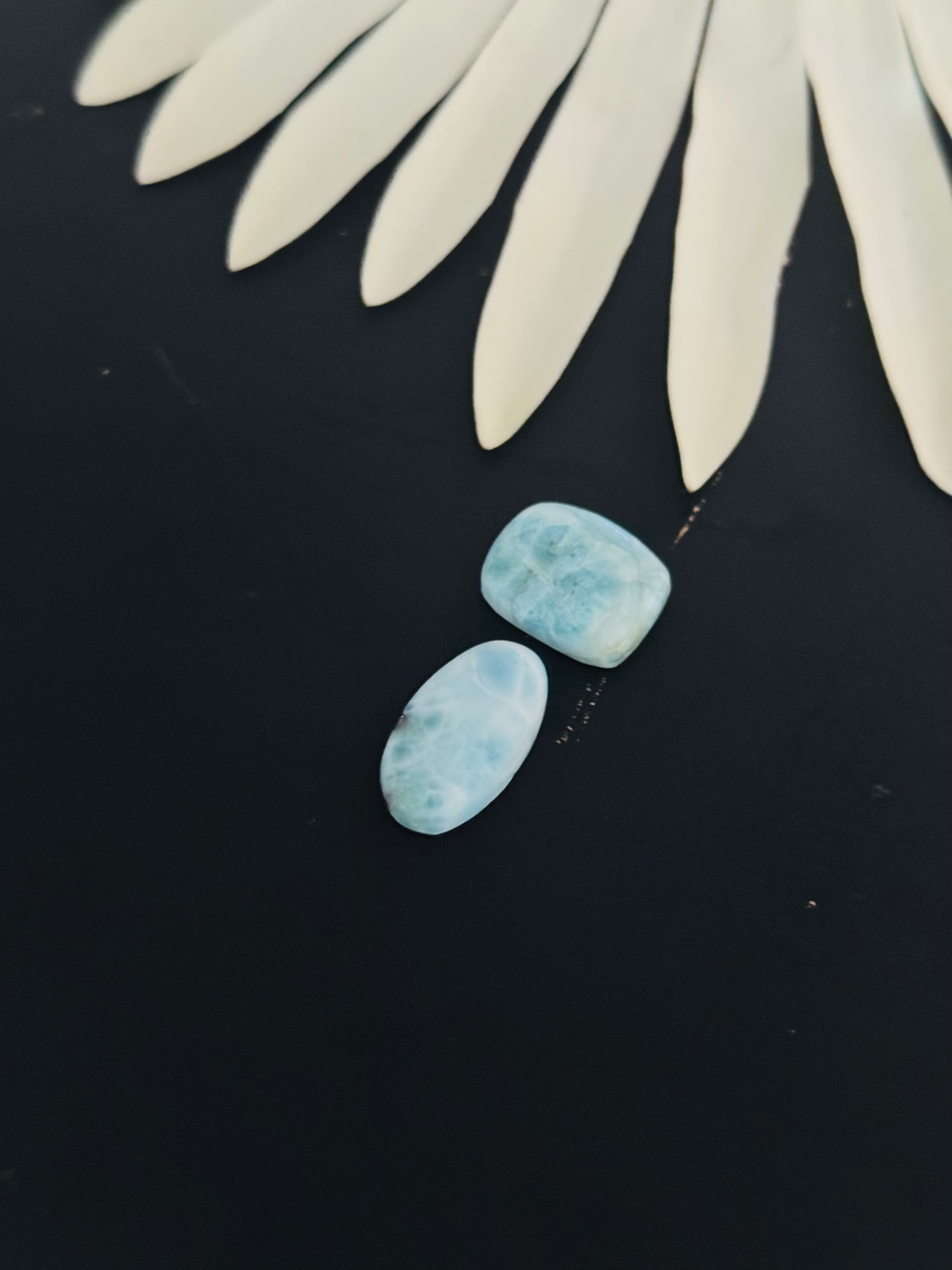 Larimar Cabs