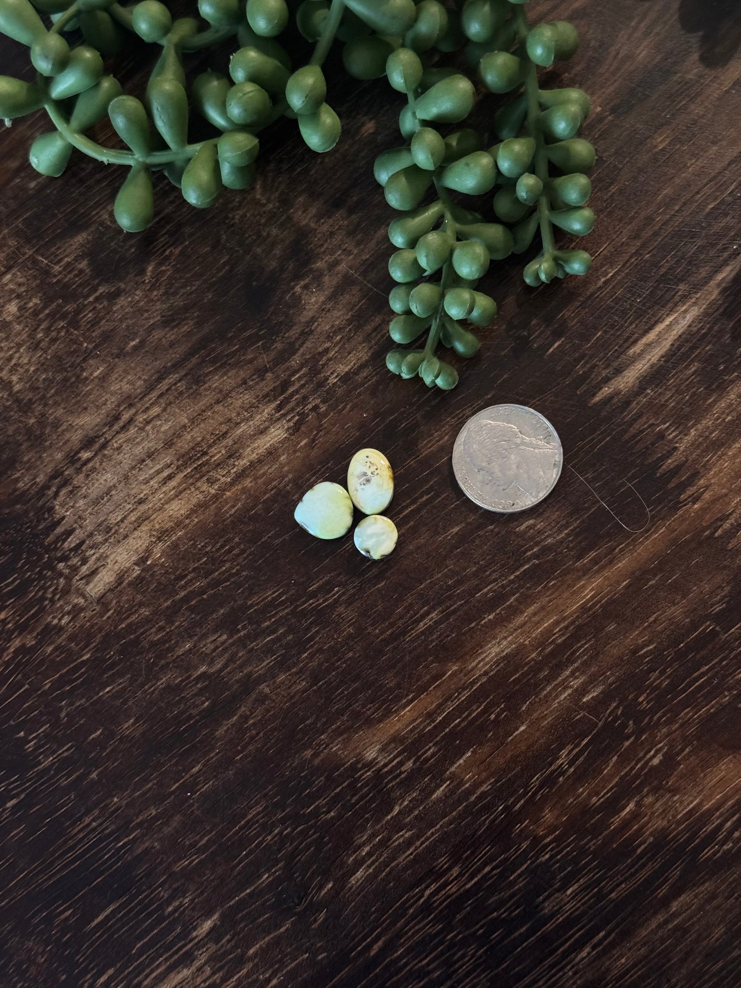 Palomino Variscite Cabs