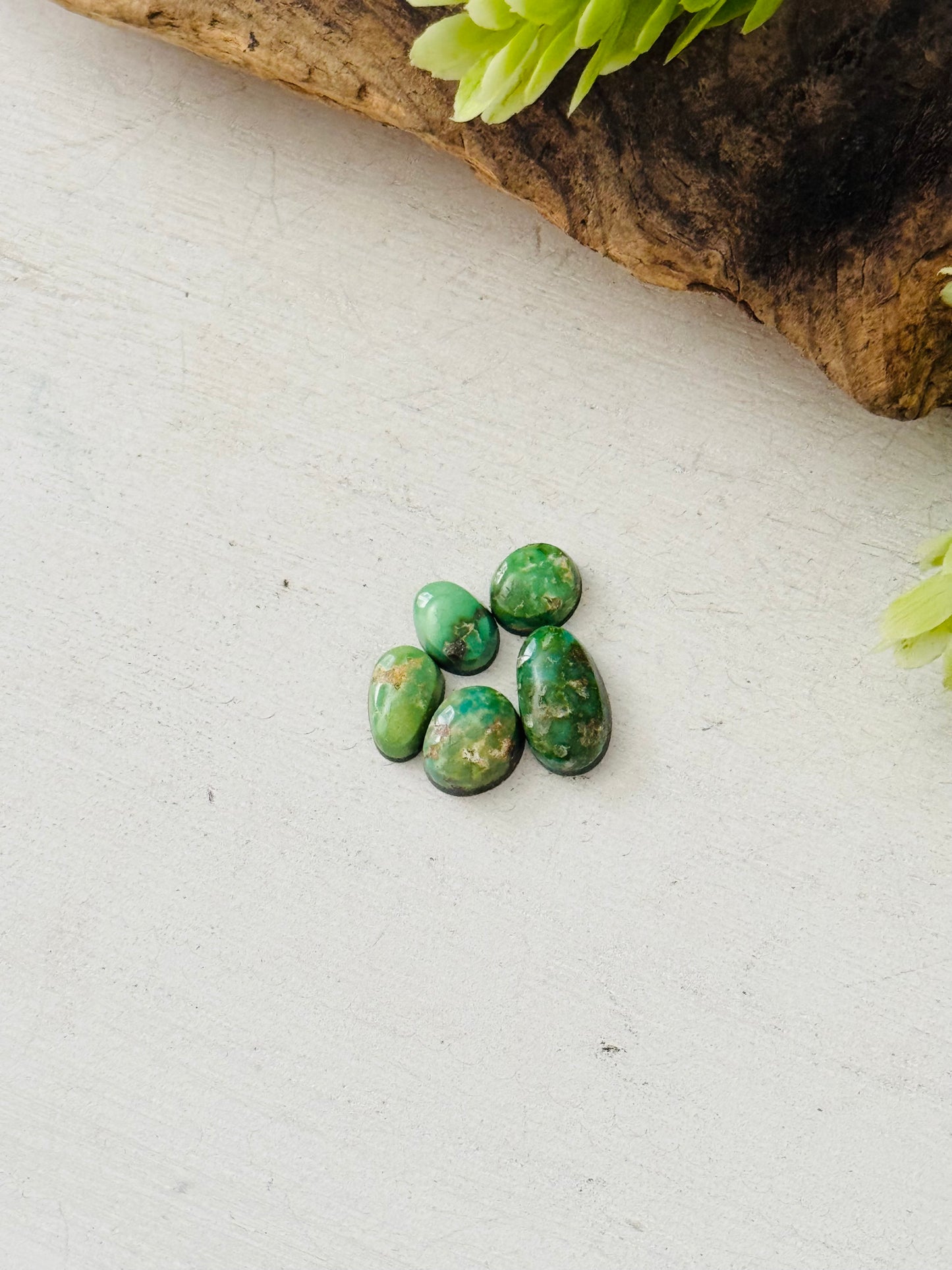 Natural Sonoran Gold Turquoise Cabs