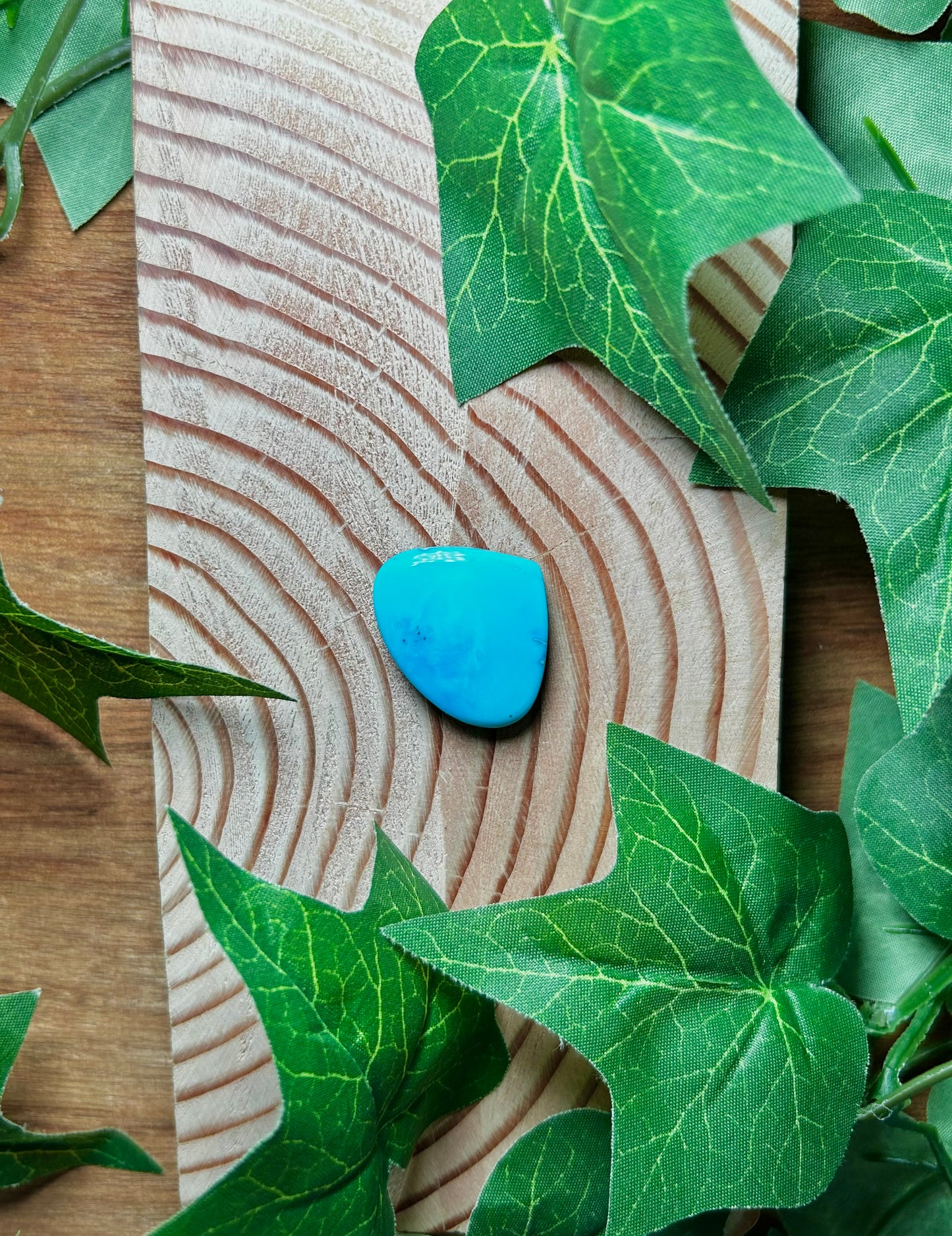 Blue Bird Turquoise Cabs