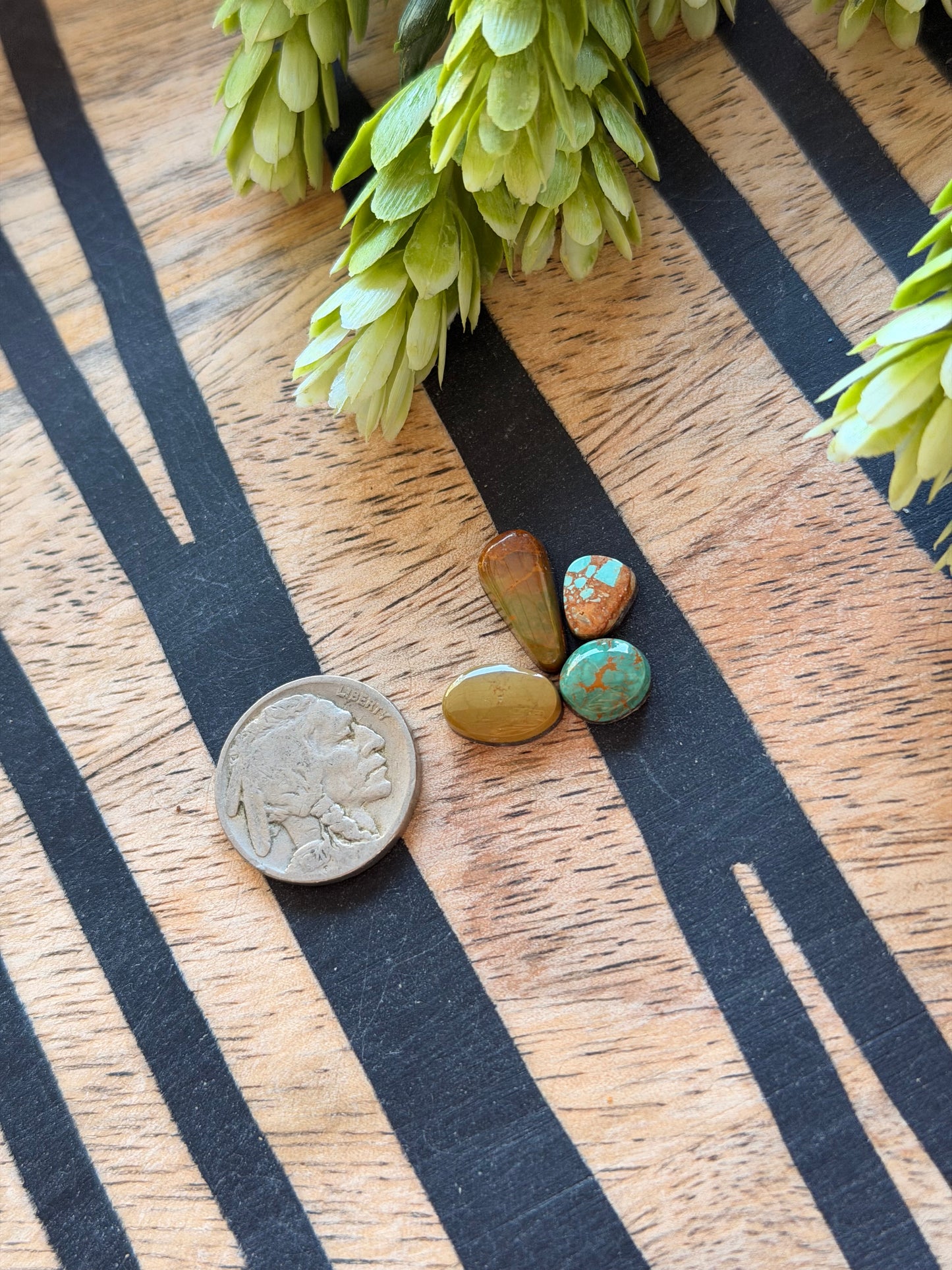 Evans Turquoise Cabs