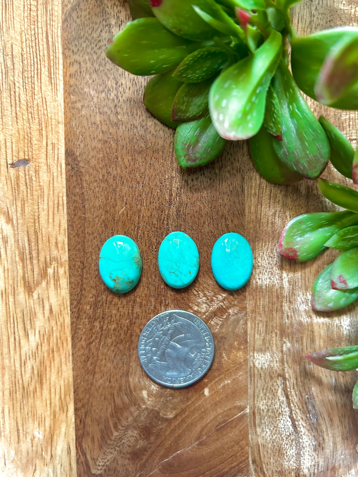 Kingman Turquoise Cabs