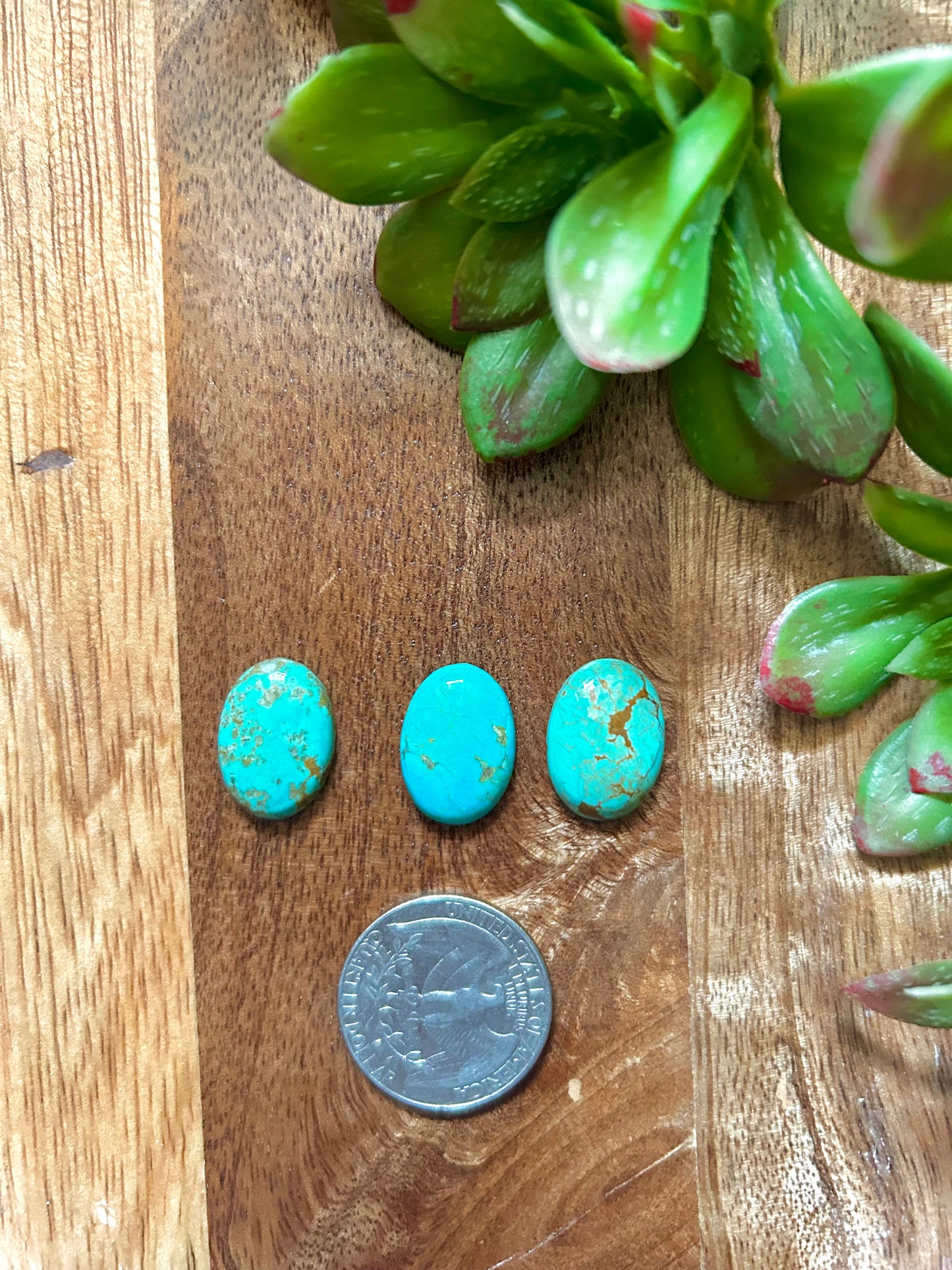 Kingman Turquoise Cabs