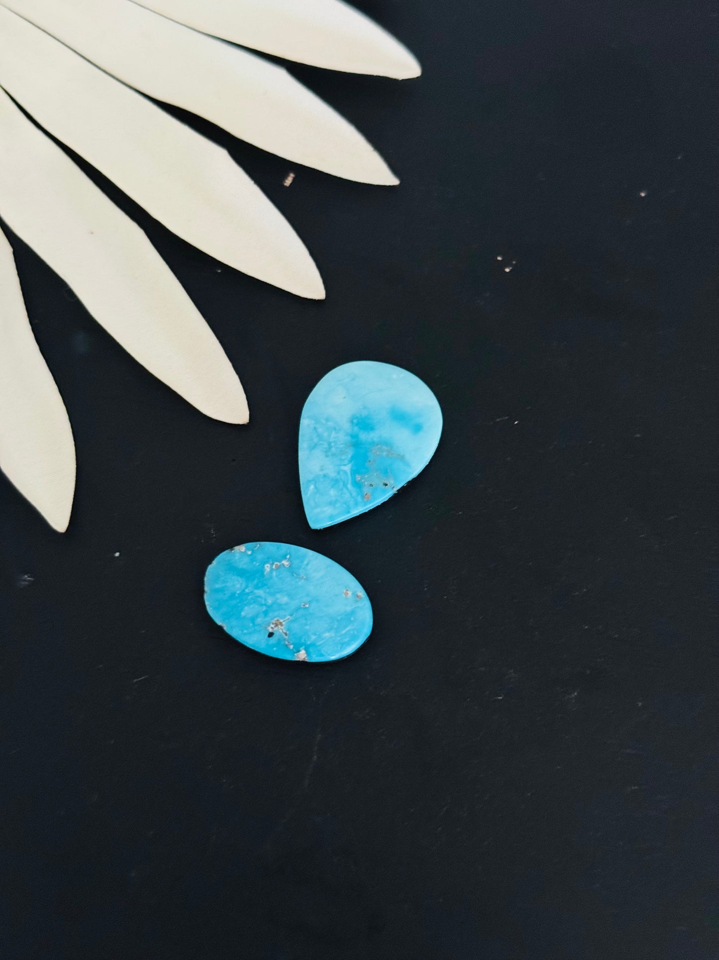Blue Bird Turquoise Cabs