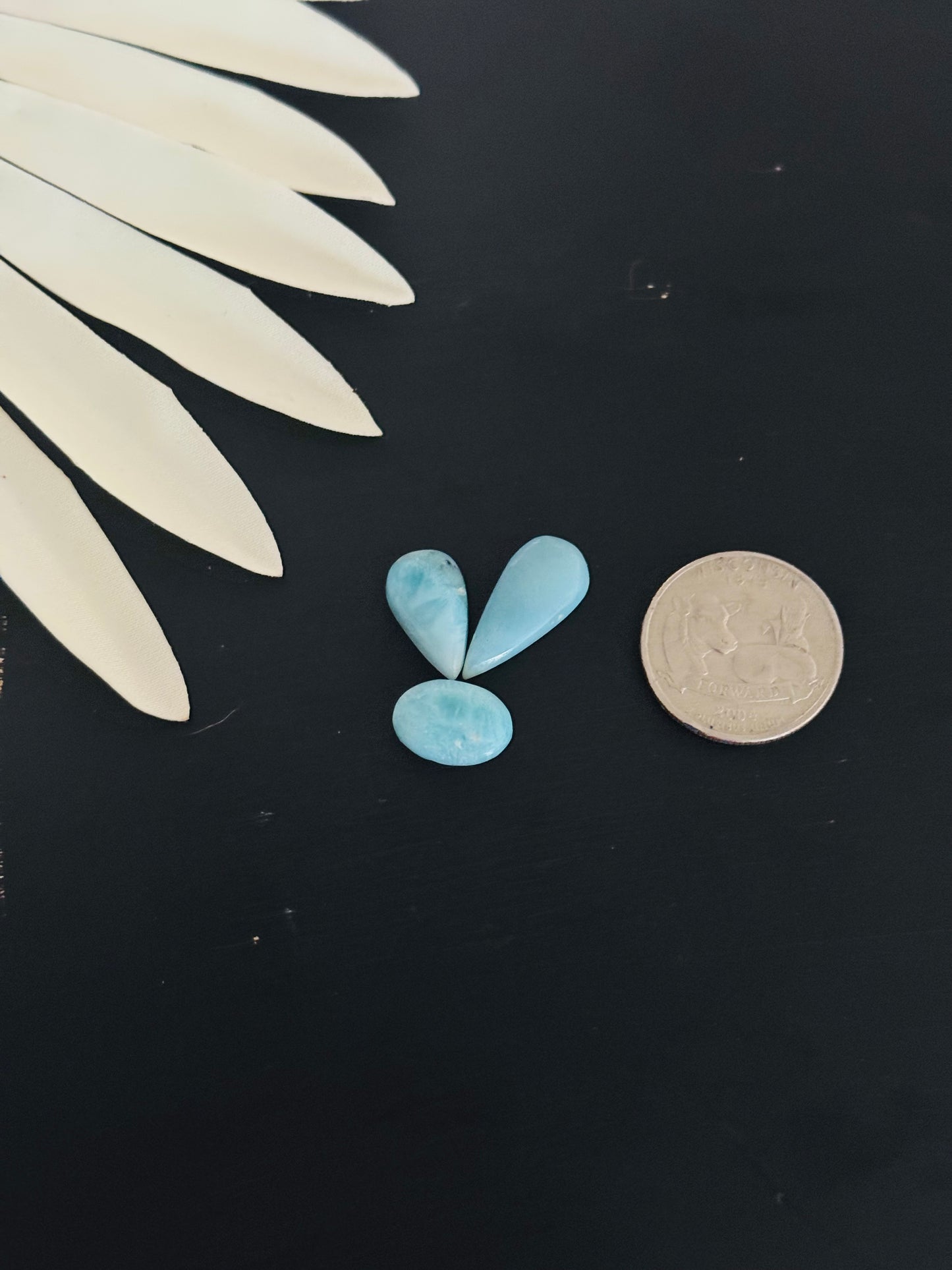 Larimar Cabs