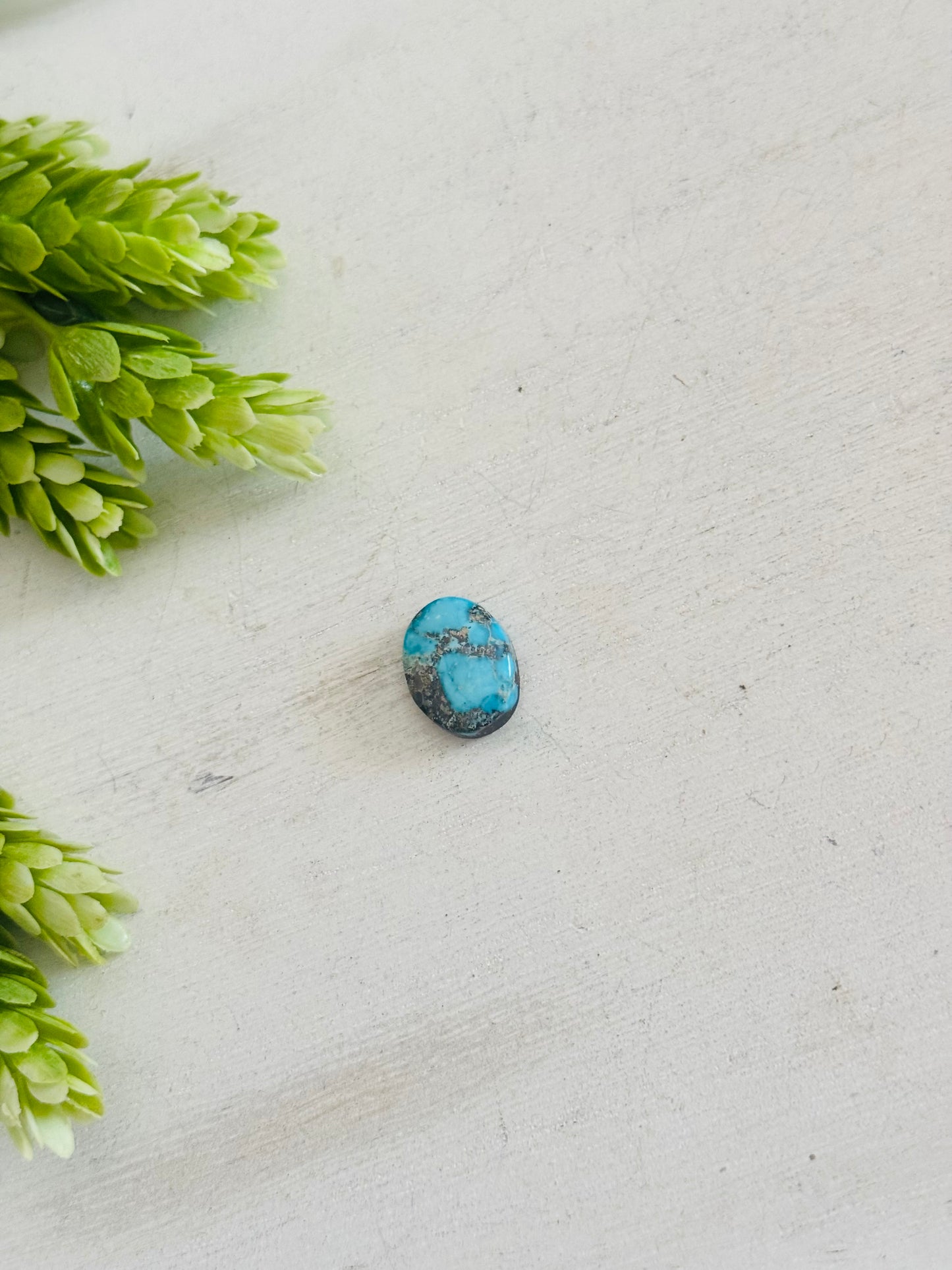 Blue Bird Turquoise Cab