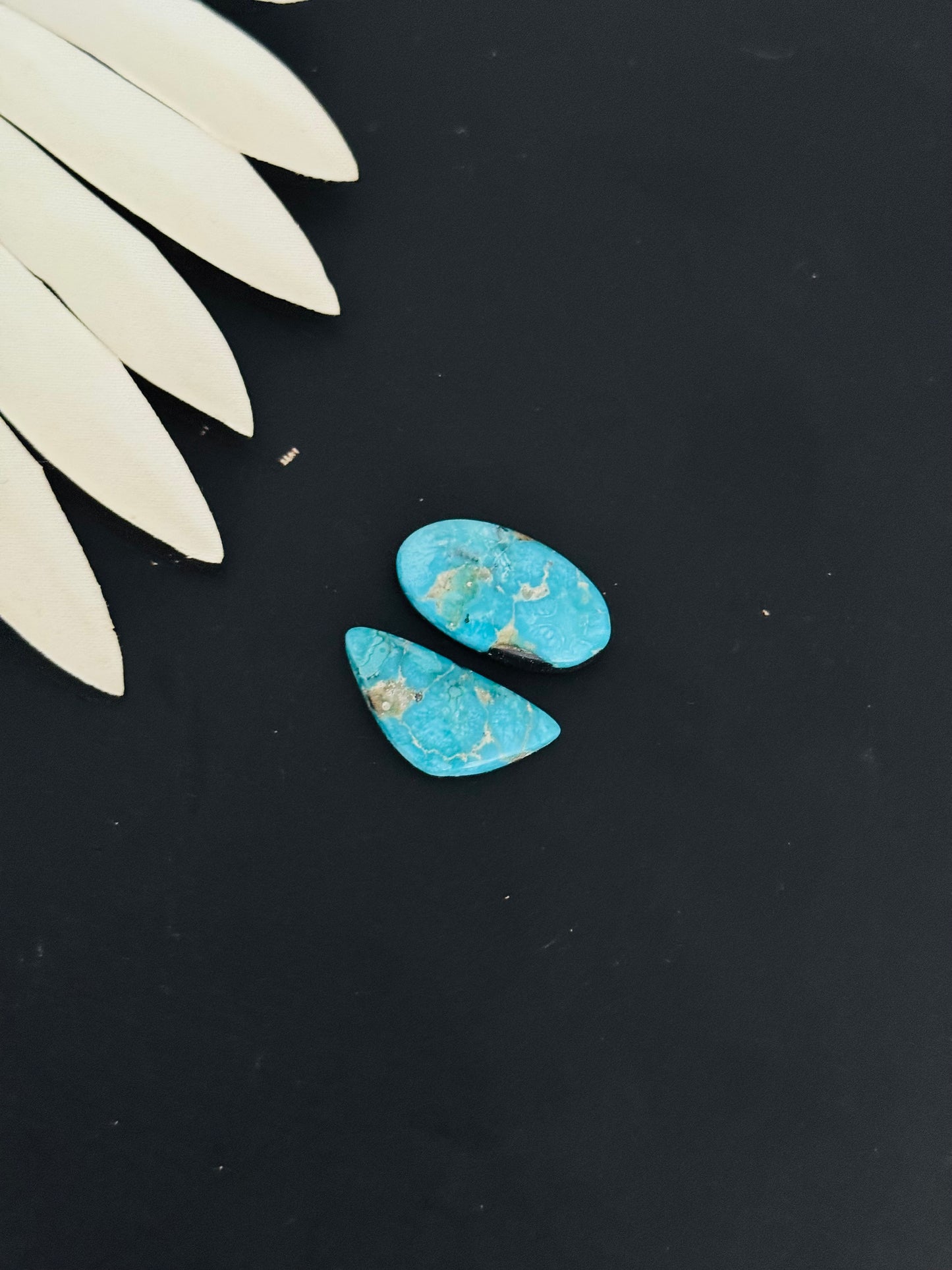 Blue Bird Turquoise Cabs