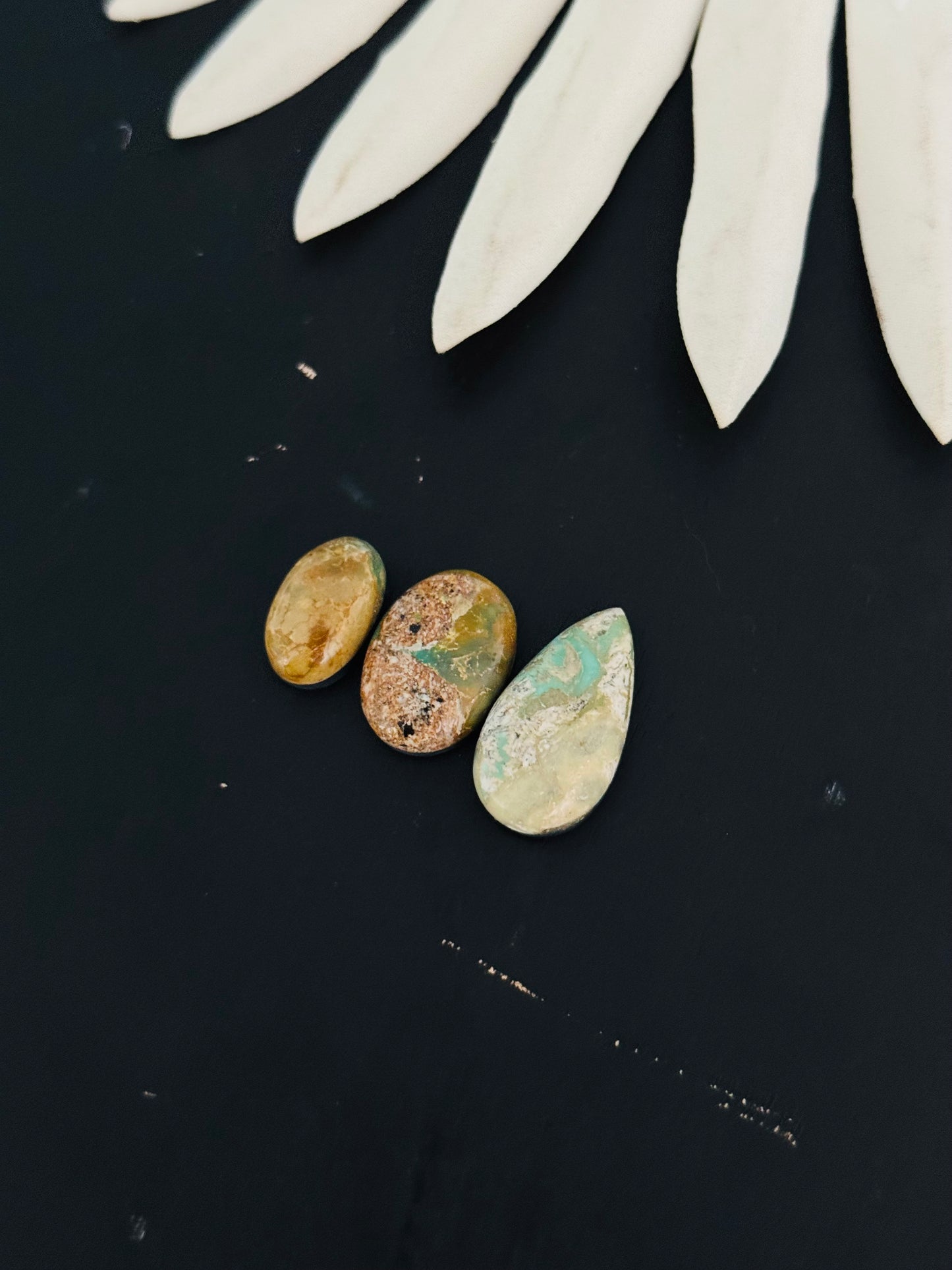 Evans Turquoise Cabs