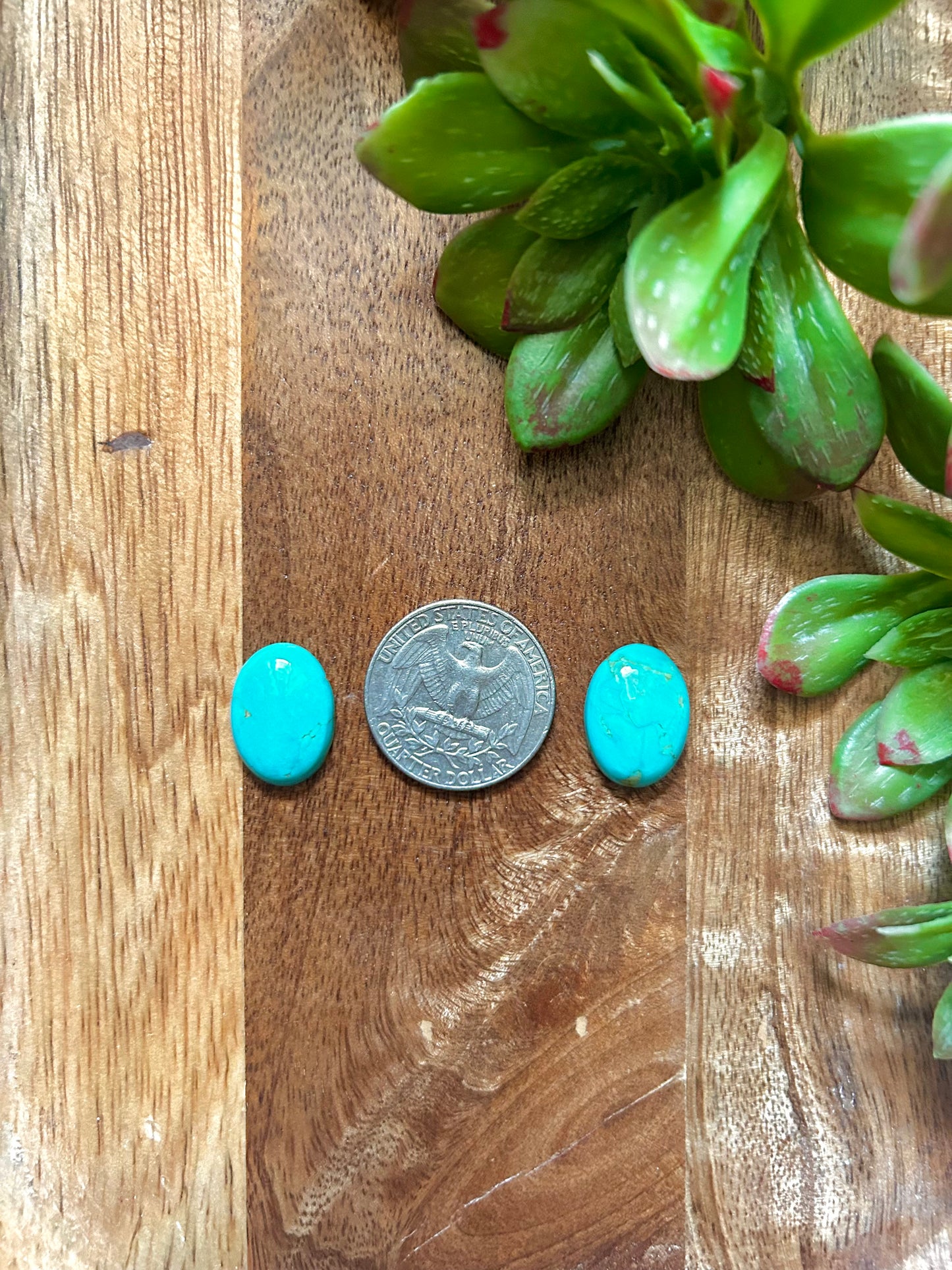 Kingman Turquoise Cabs