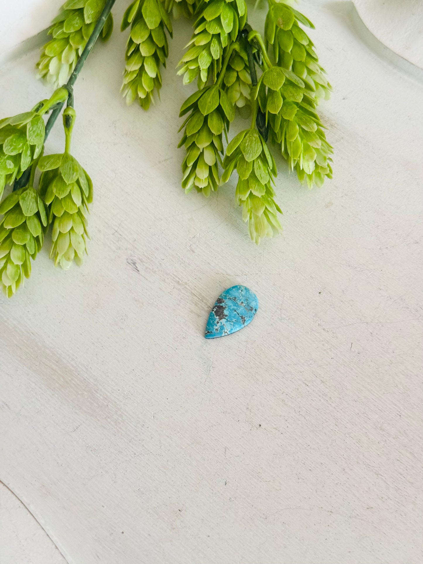 Blue Bird Turquoise Cab