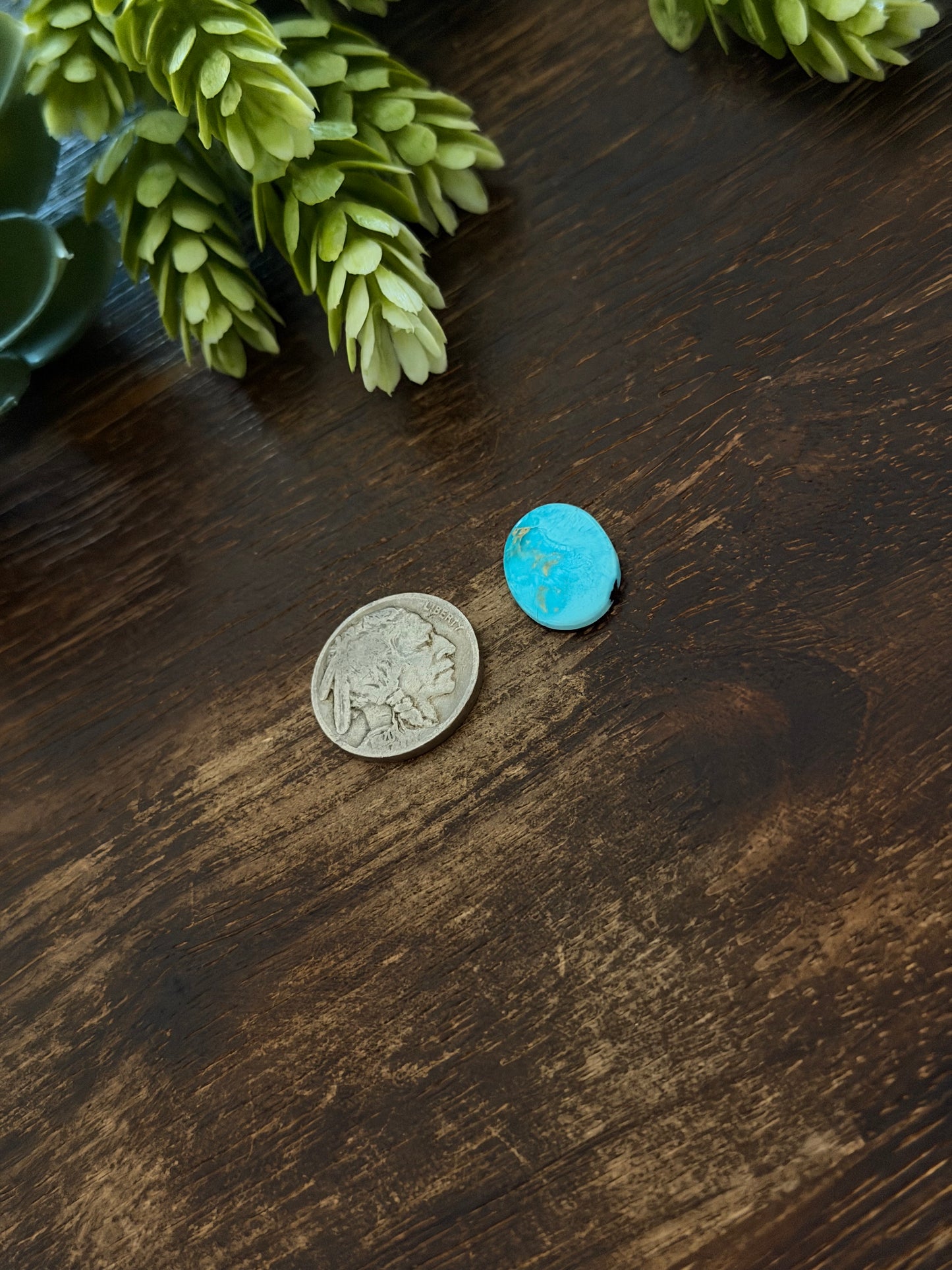 Blue Bird Turquoise Cab